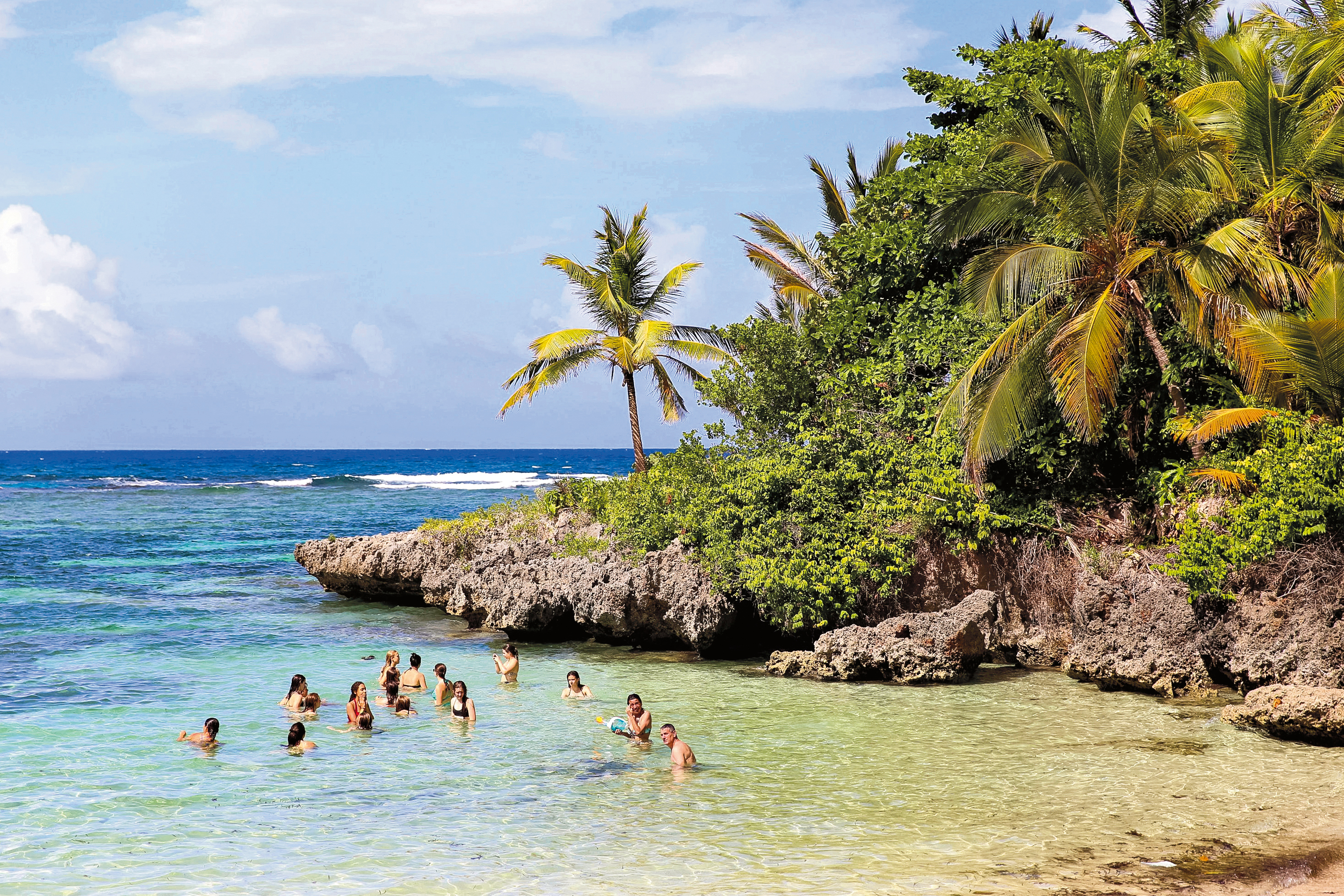 Students wade in a clear turquoise cove framed by palm trees and rocky outcrops