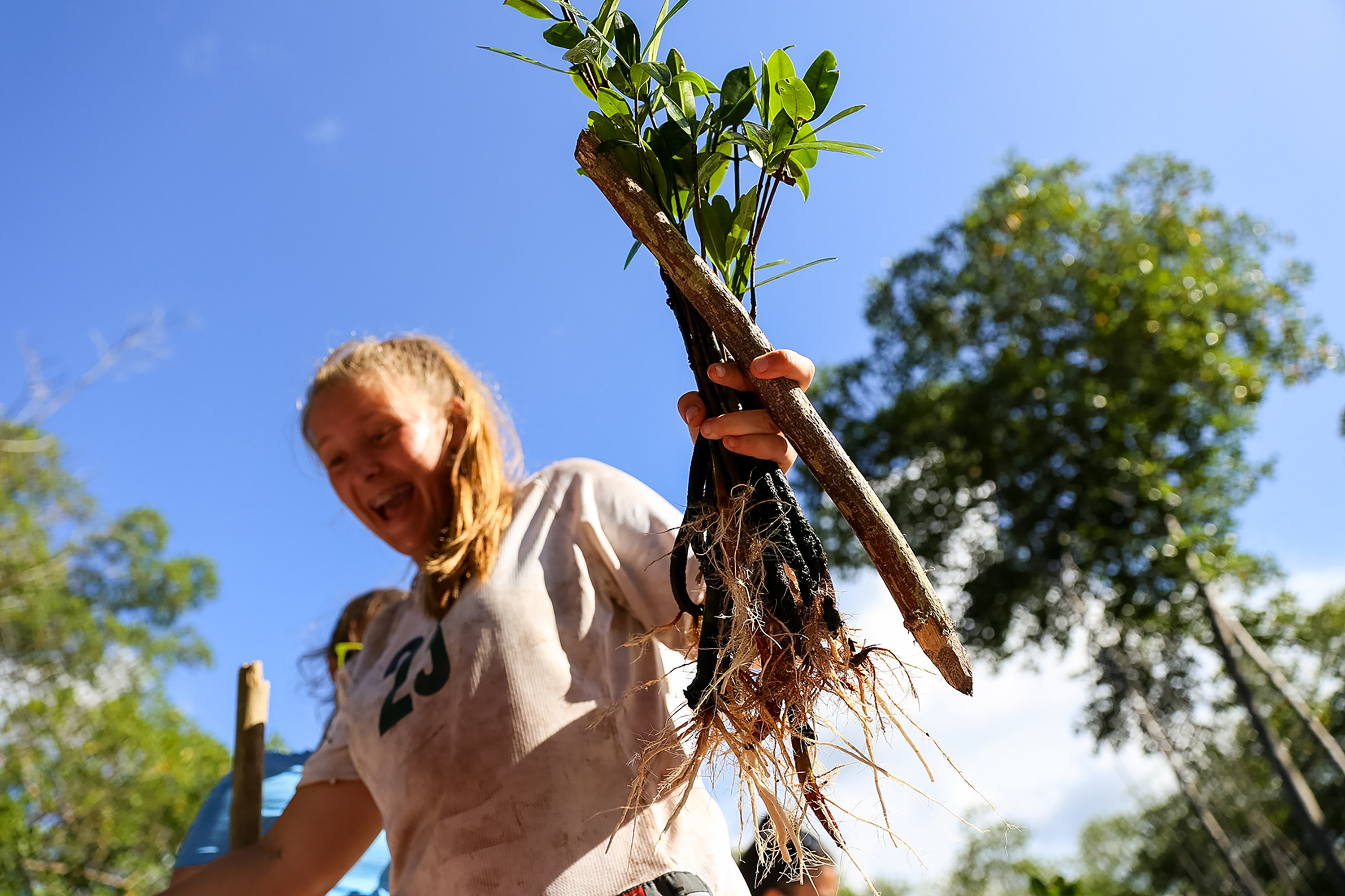A student holds up a young mangrove seedling with roots exposed against a blue sky
