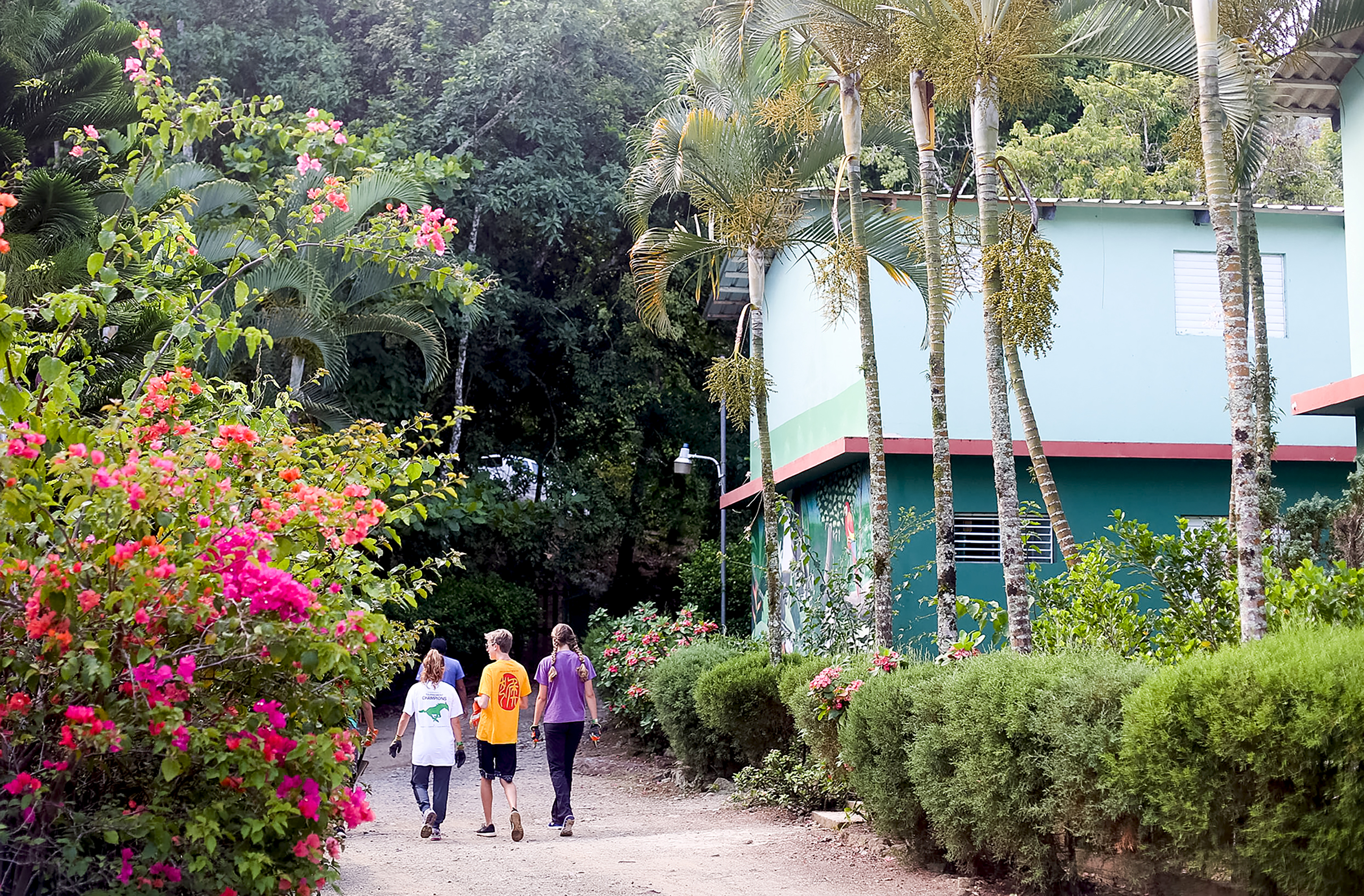 Students walk a path past bougainvillea and palm trees toward a teal building