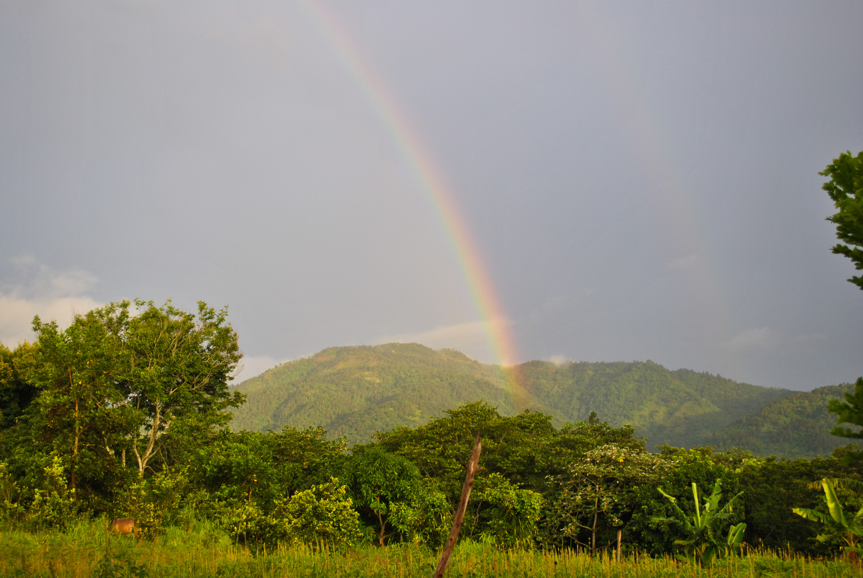 A rainbow arcs over green mountains and forest in the Dominican Republic countryside