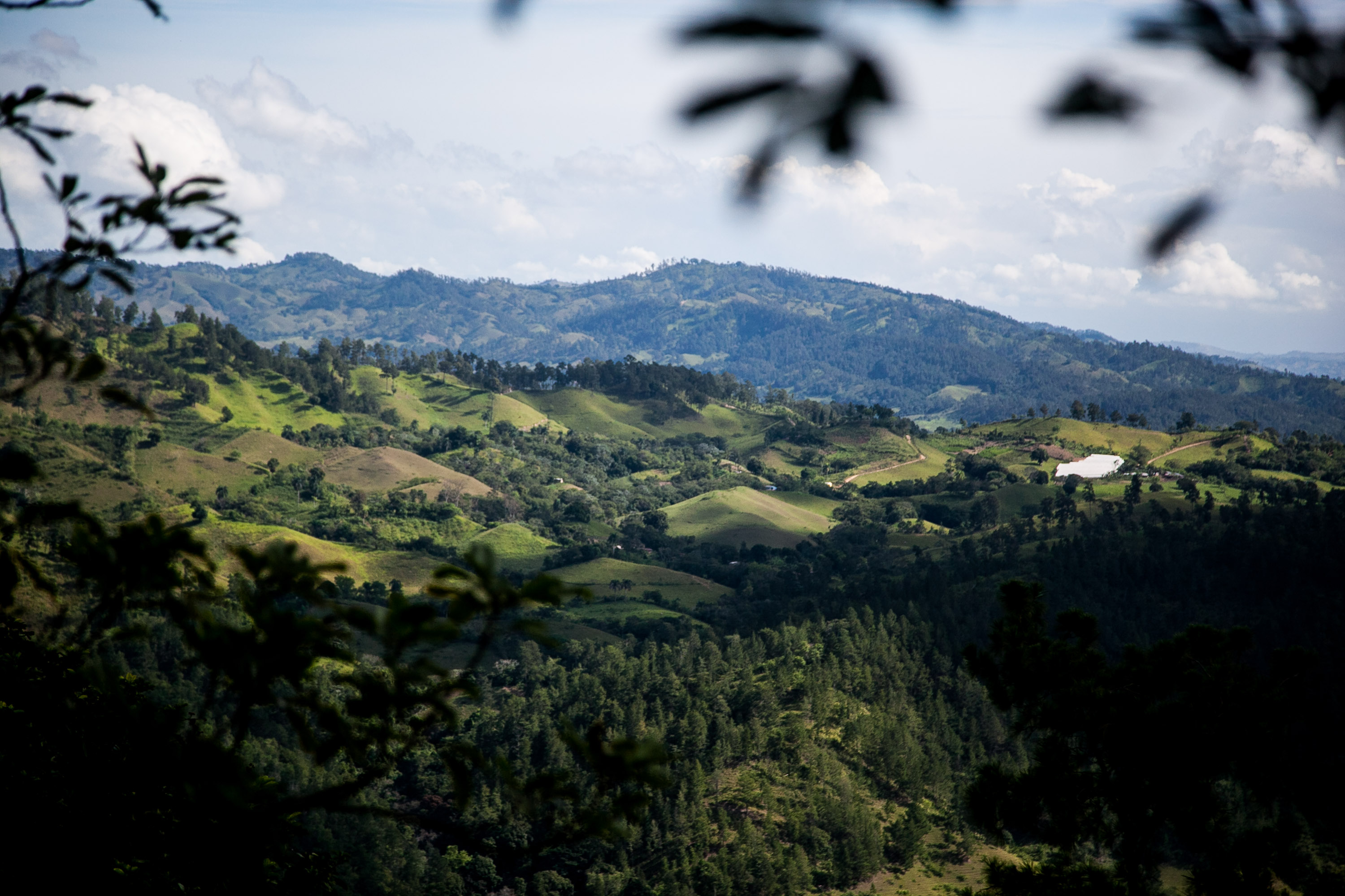 Rolling green mountains and forested hills in Dominican Republic stretch toward the horizon