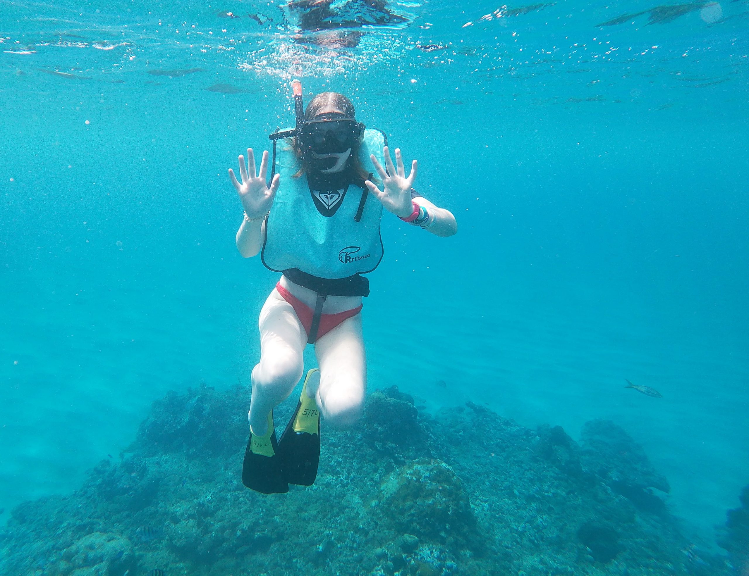 A student snorkels underwater over a reef, hands raised