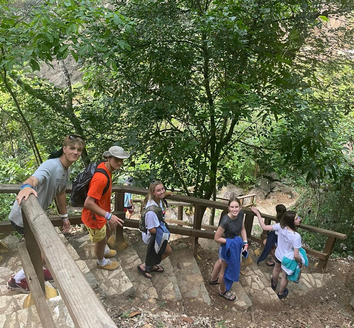 Students climb wooden stairs along a forested mountain trail