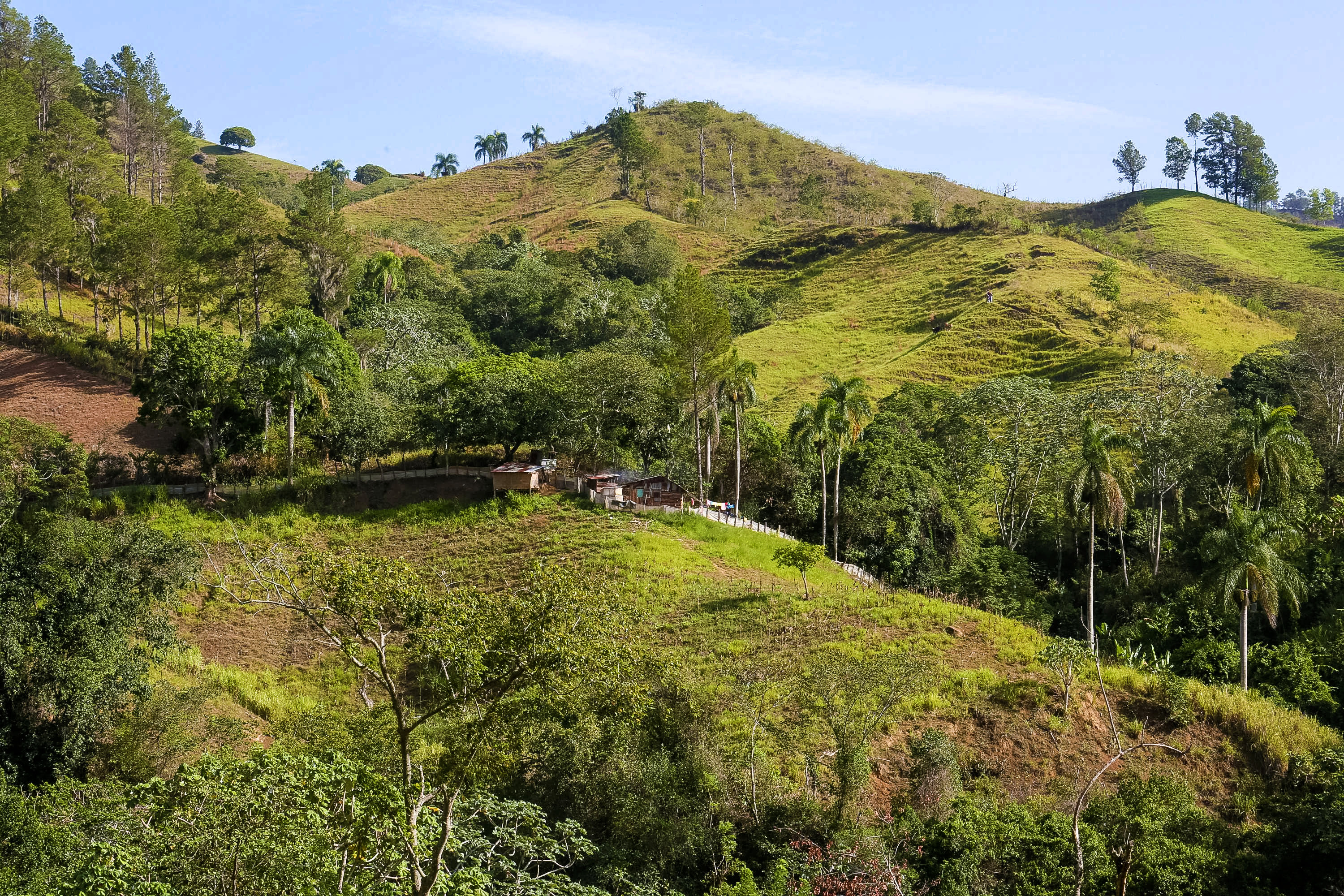 Terraced farmland and palm trees dot green mountain hillsides in the Dominican Republic