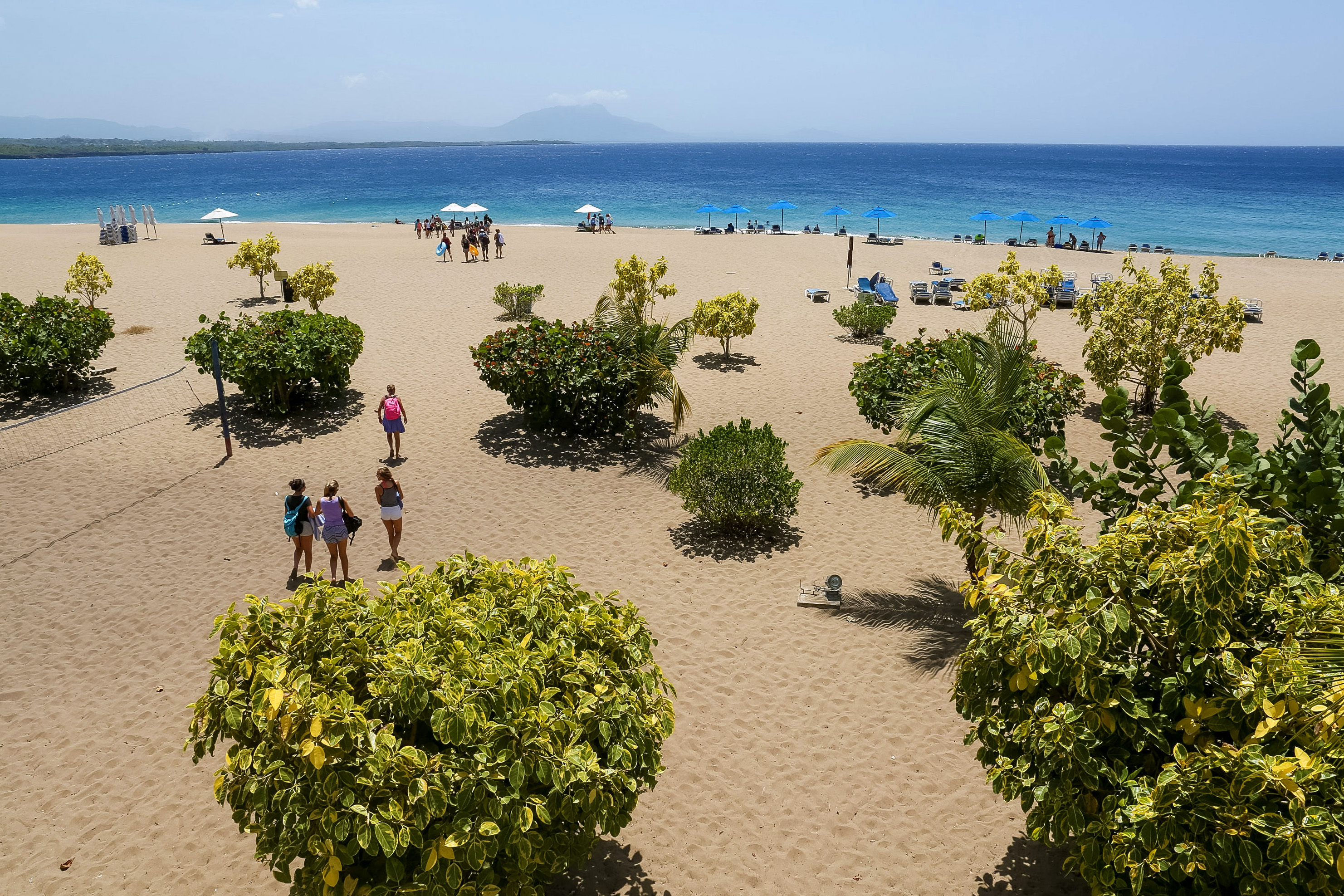 Students walk along a sandy beach dotted with shrubs and beach umbrellas