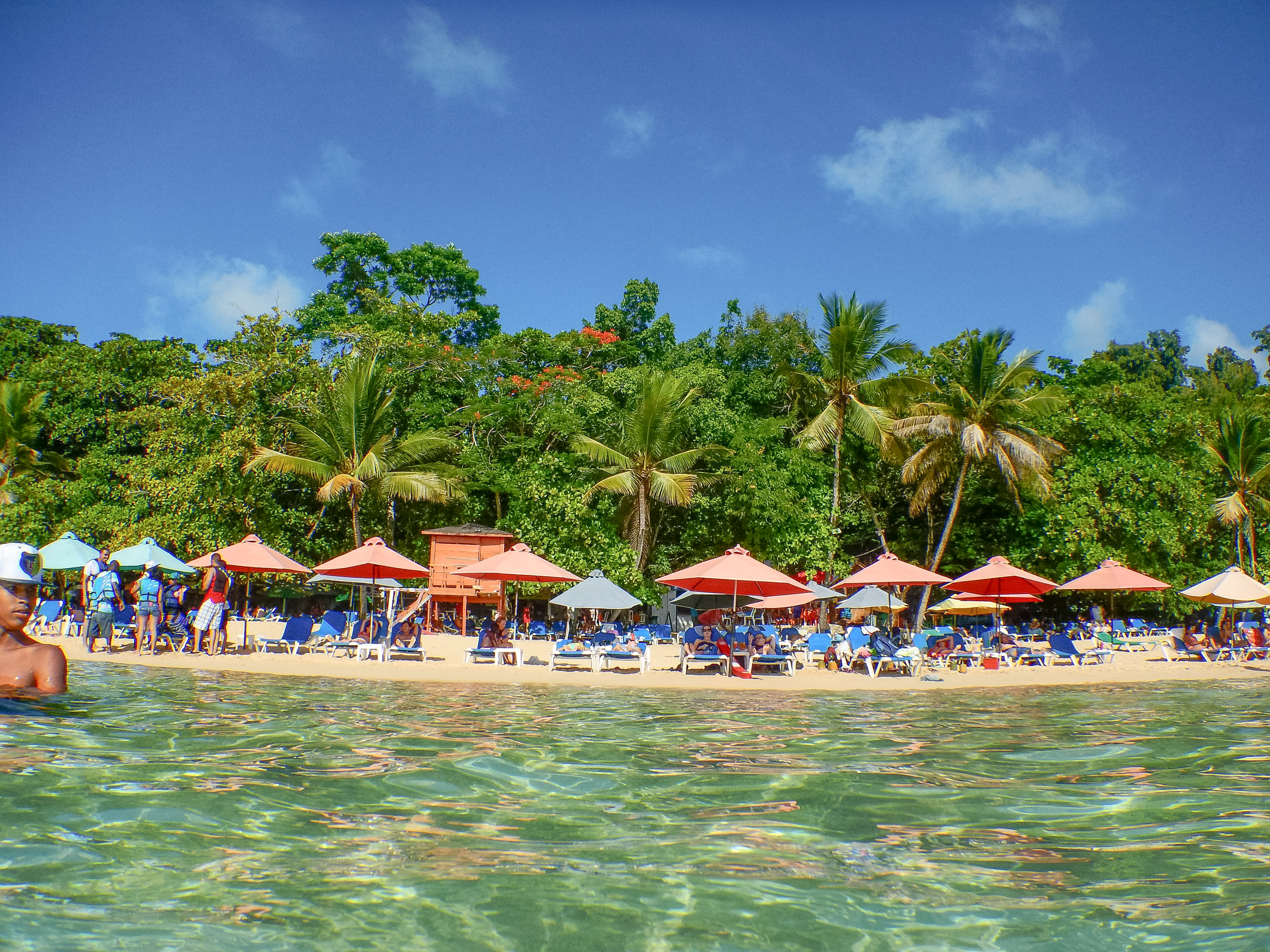 Beach umbrellas and lounge chairs line a palm-fringed shore beside clear turquoise water
