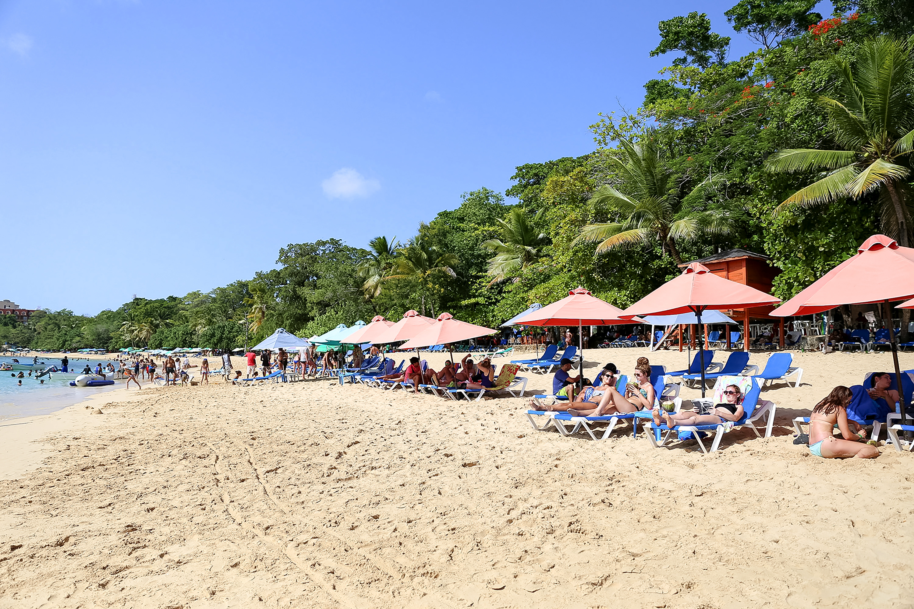 Beach umbrellas and lounge chairs line a sandy shoreline lined with palm trees