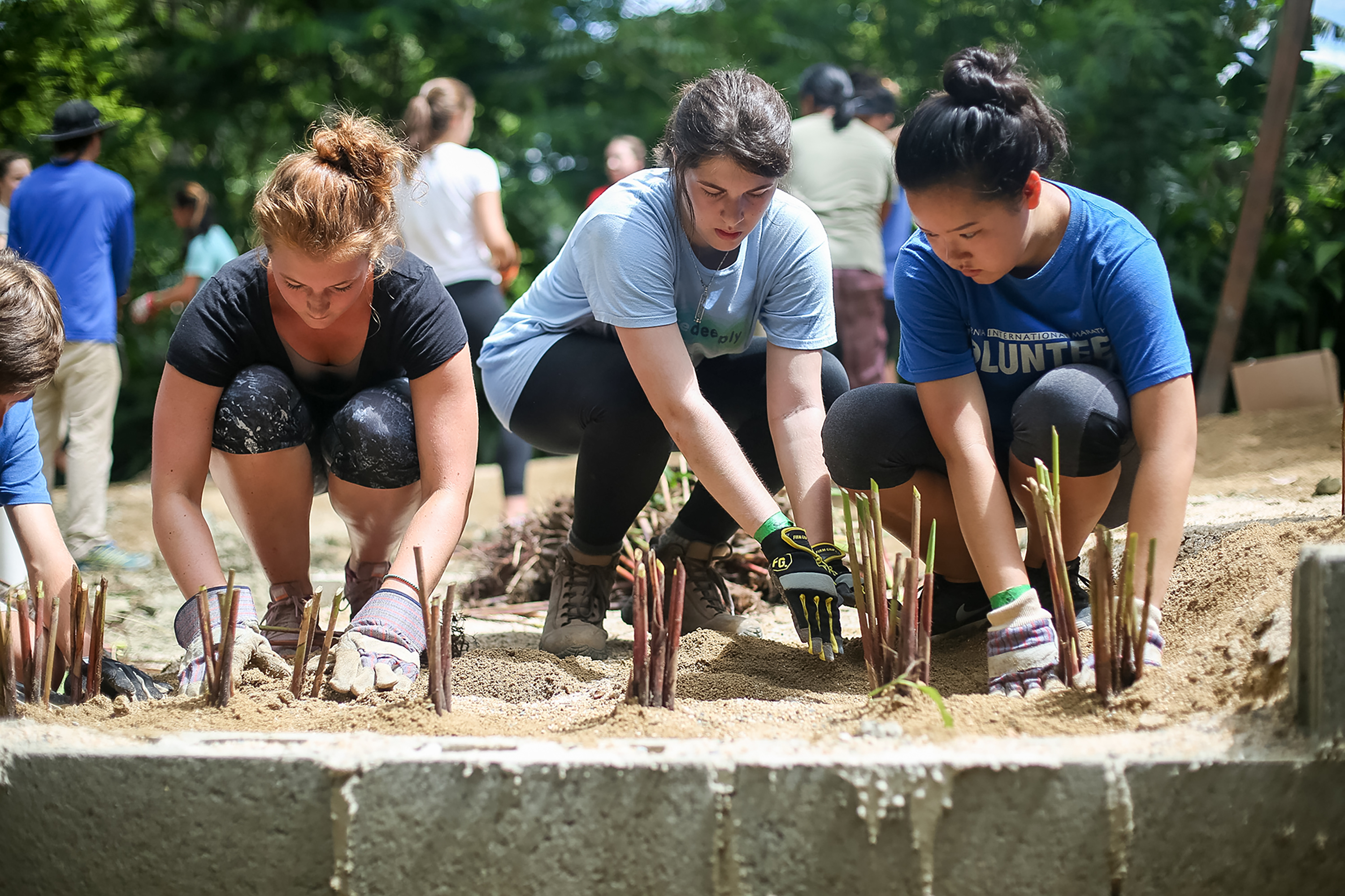 Students kneel in sand planting young seedlings at a community service site