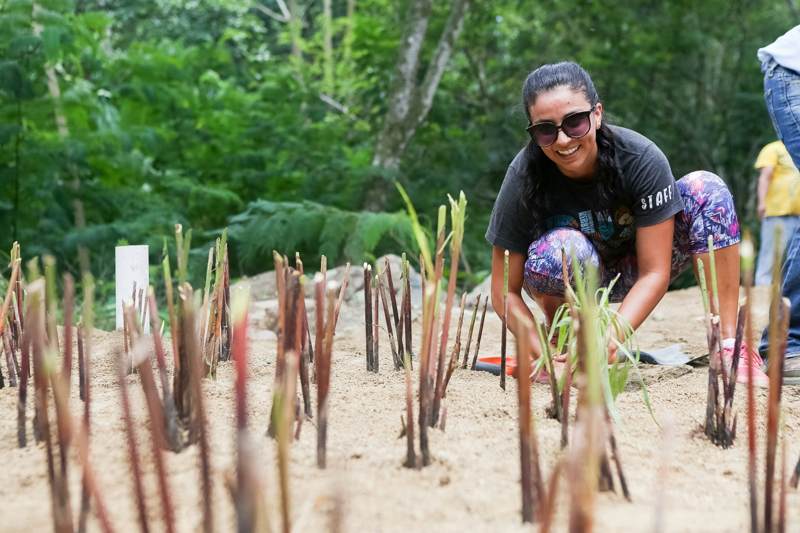 A women helping plant sugarcane on a farm in the Dominican Republic.