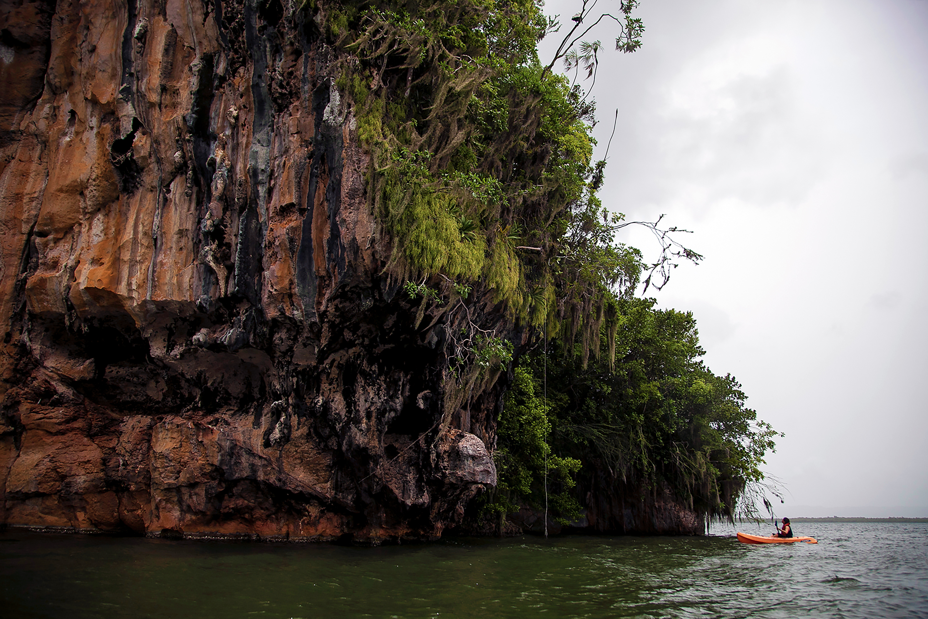 A kayaker paddles along a tree-covered limestone cliff on the water