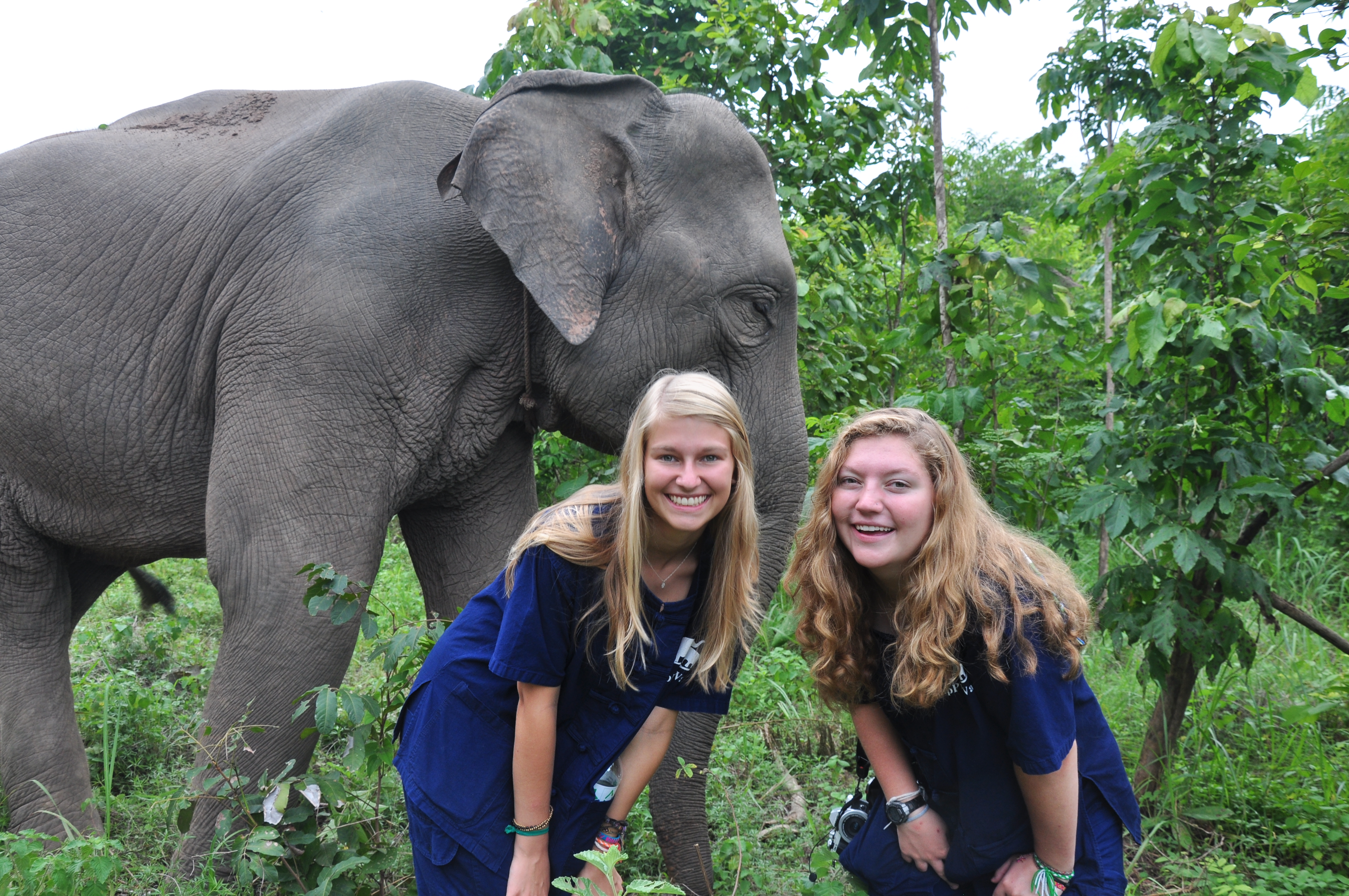 Night to Class Out: Elephant Tank Top exclusive photo Night to Class Out: Elephant Tank Top rare photo