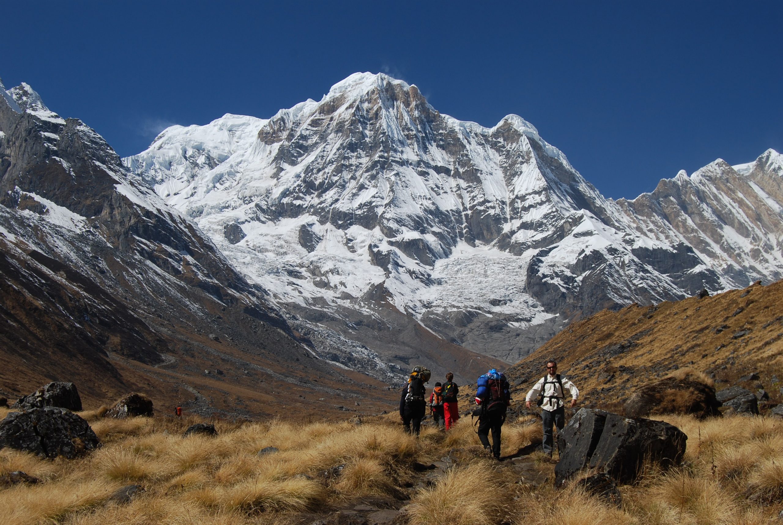 Trekkers walk a high valley trail in Nepal toward the snow face of Annapurna South, with rock, and dry grass on either side.