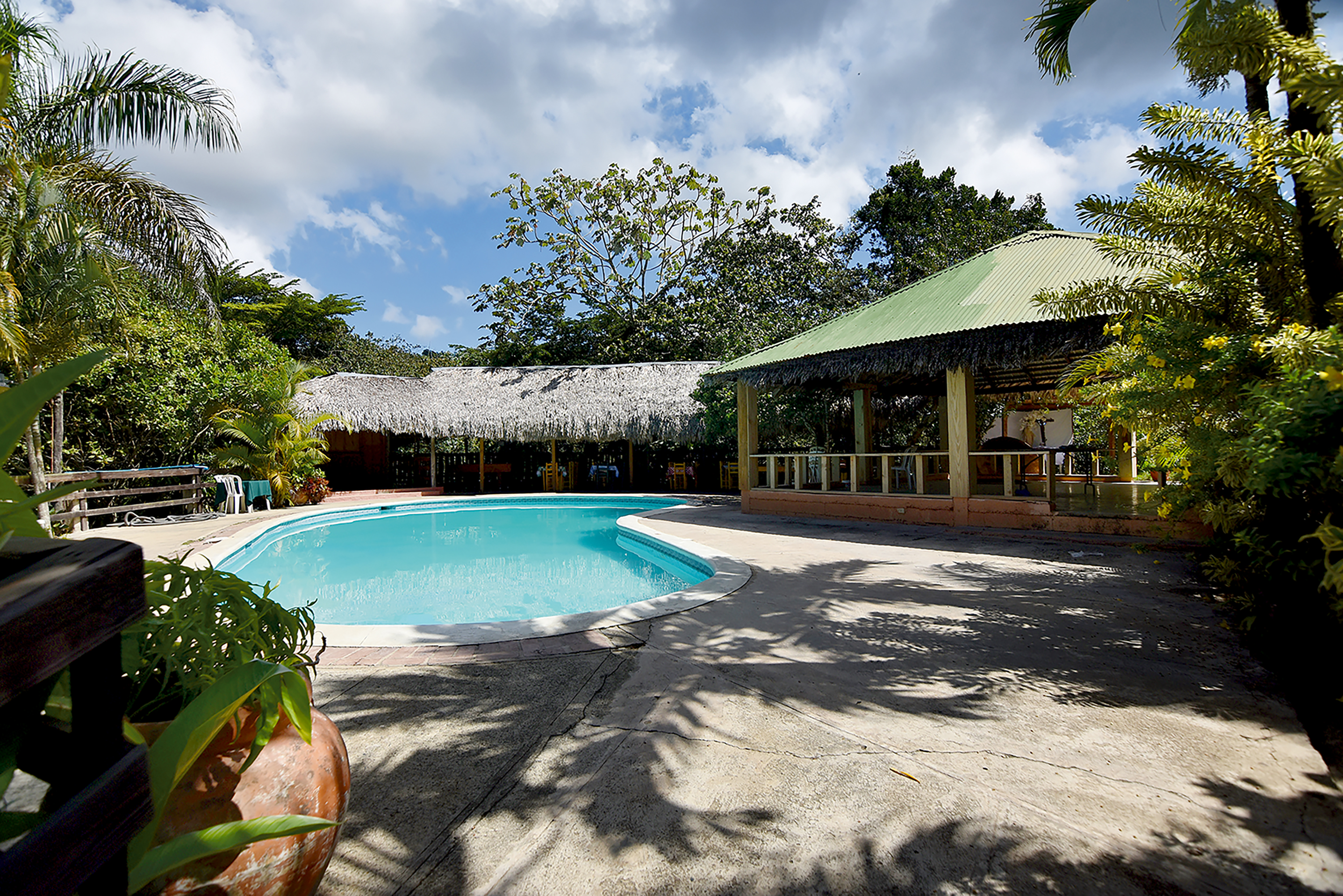 A thatched-roof poolside pavilion surrounded by tropical palms