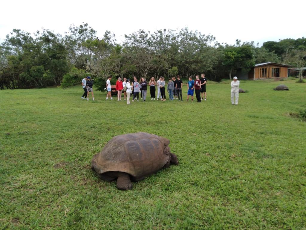 Hotel on Santa Cruz Island, Galápagos