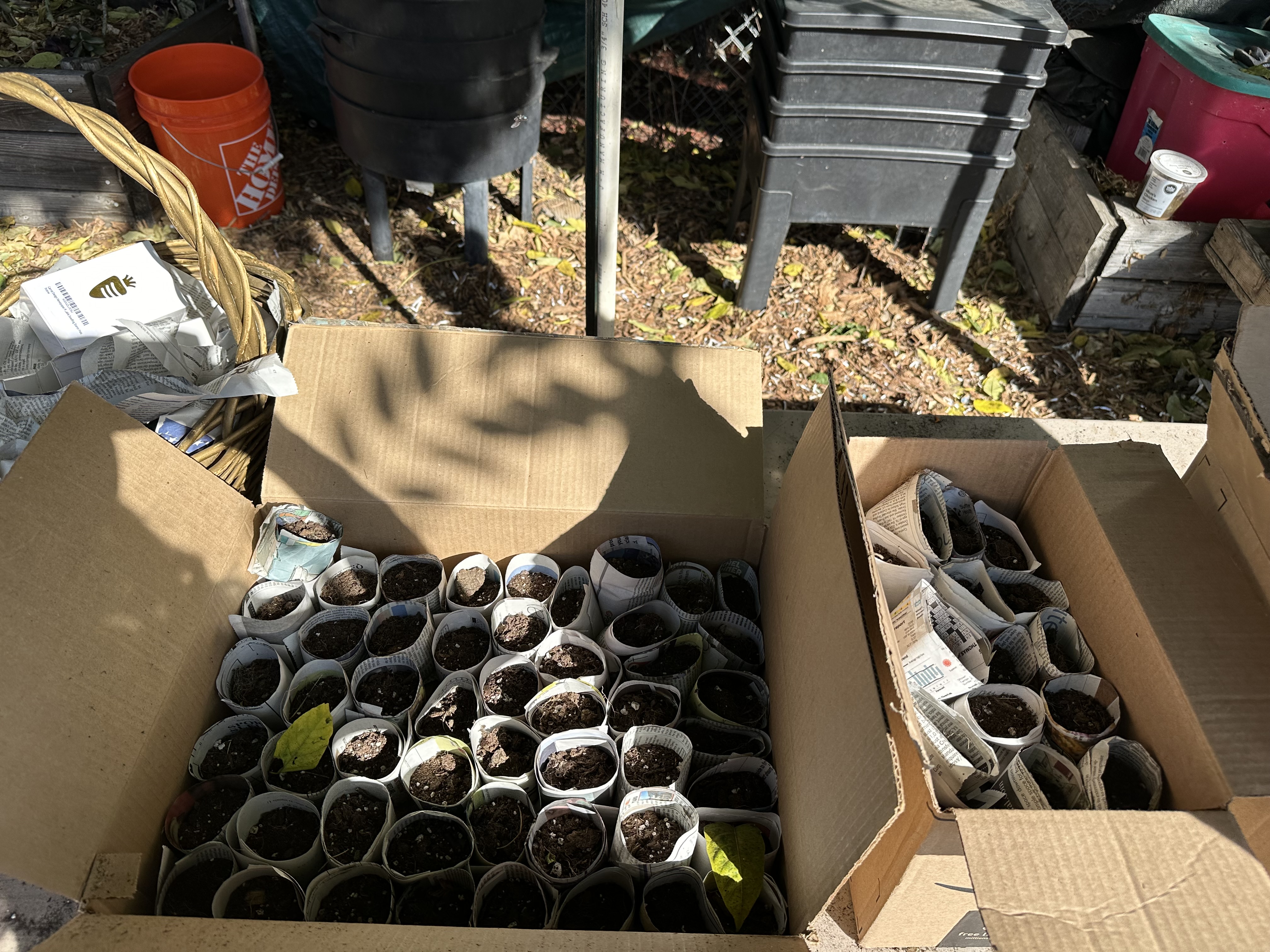 Ella Dattamajumdar - Young Teen Activist in California raises awareness to Climate Change. - Image 2