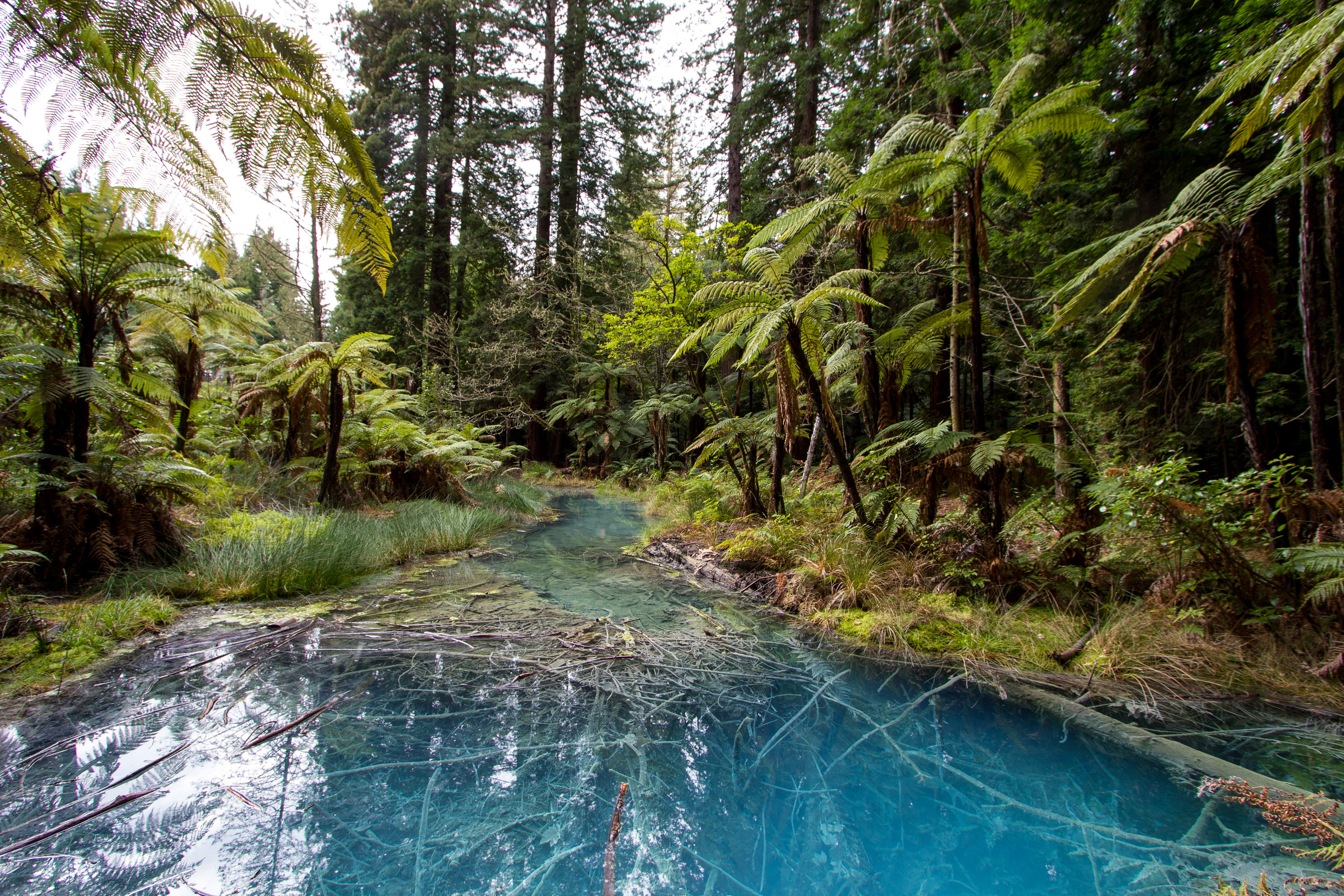 School Trip to New Zealand: North Island Culture and Service