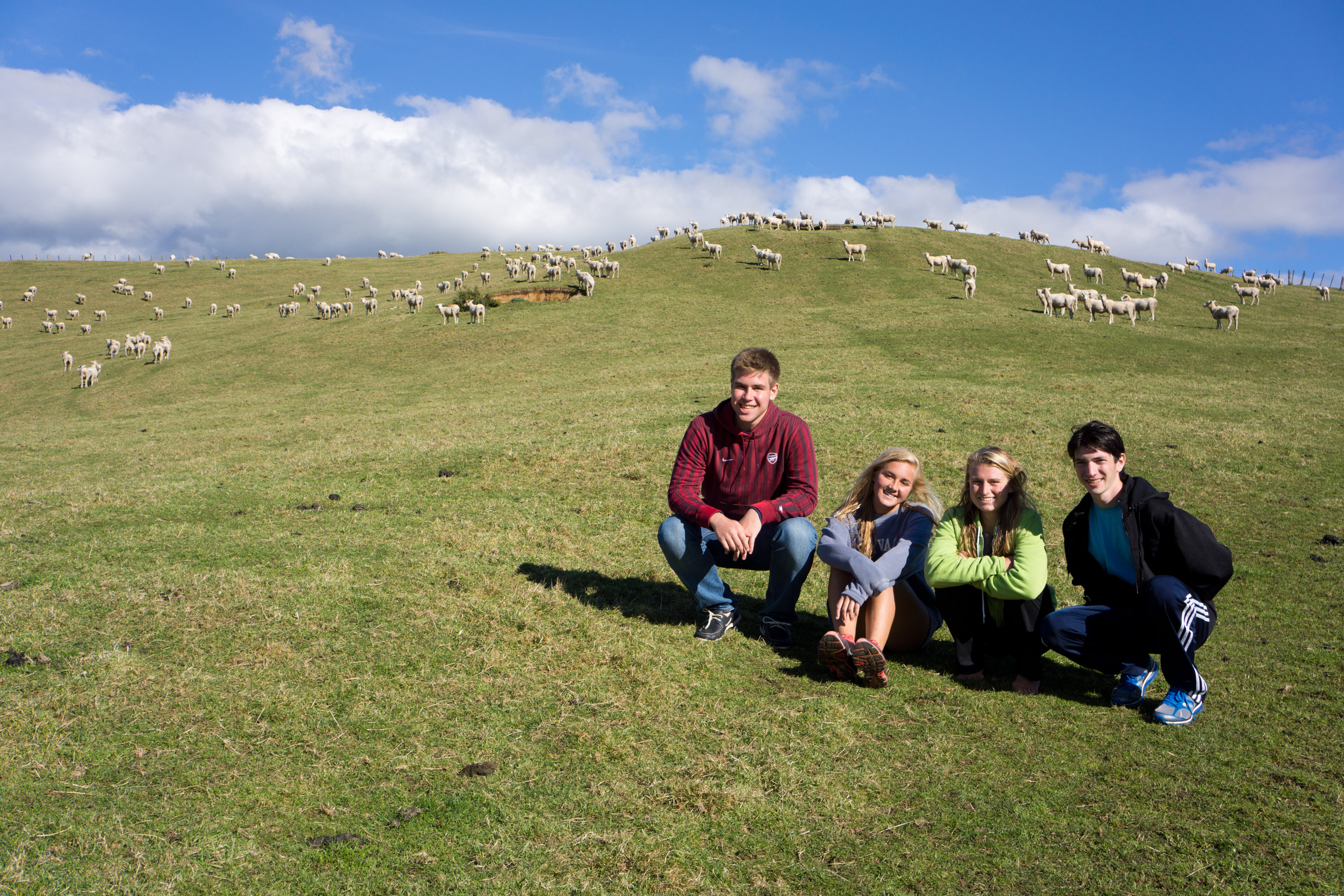 Students crouch on a grassy hillside with grazing sheep in the background