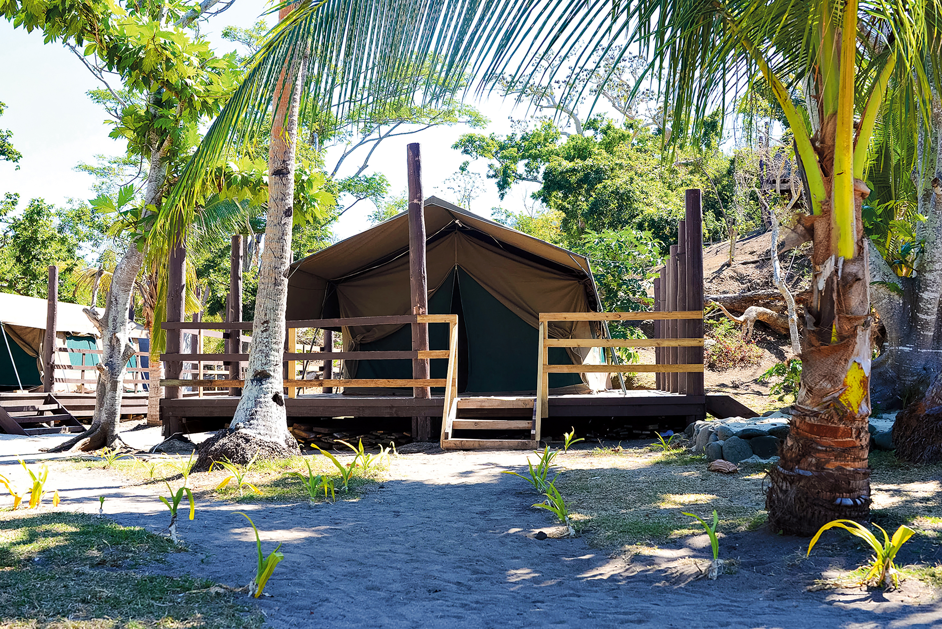 A safari-style tent cabin on a wooden deck surrounded by palm trees