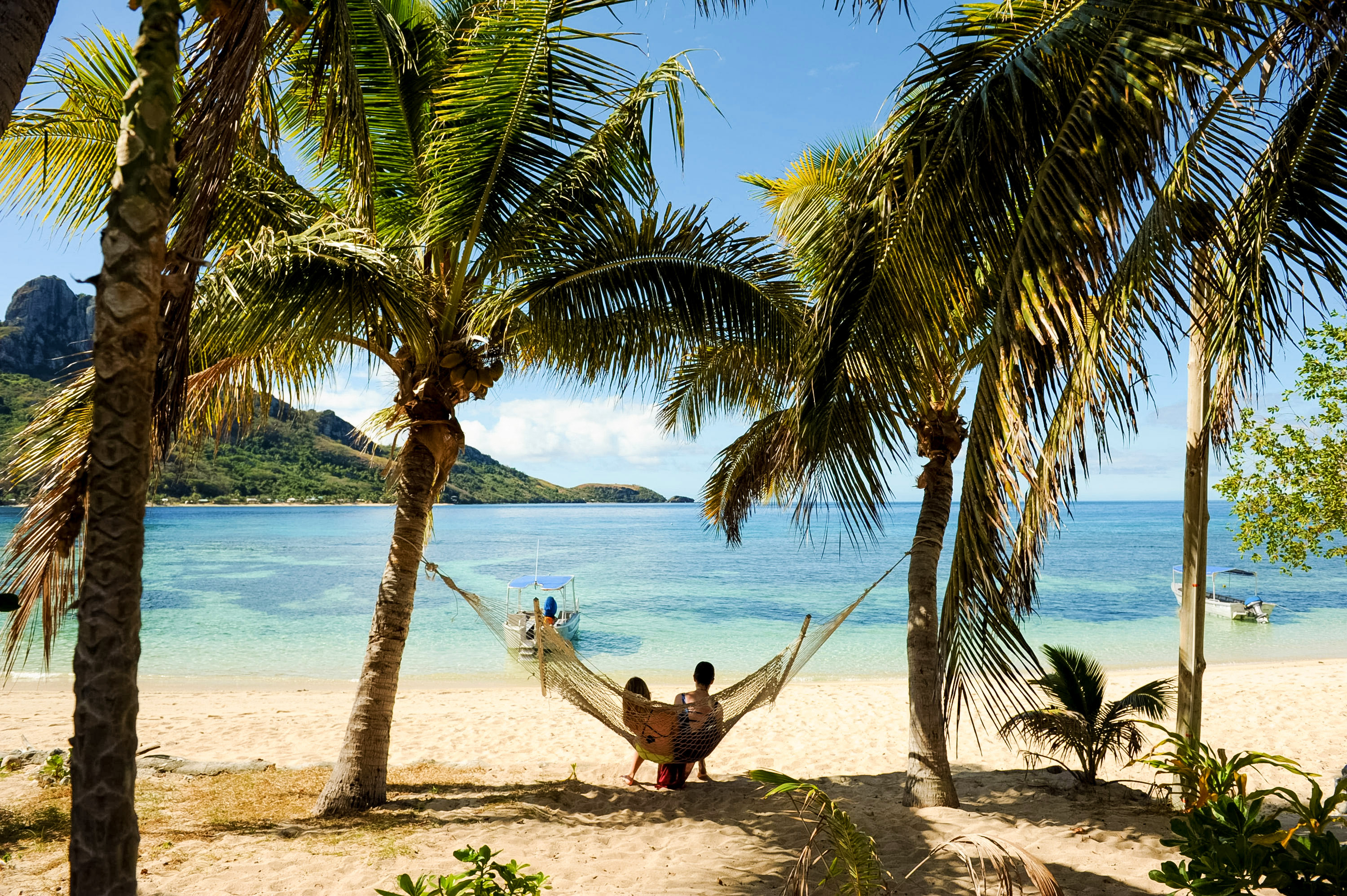 Students relax in a hammock strung between palm trees on a tropical beach