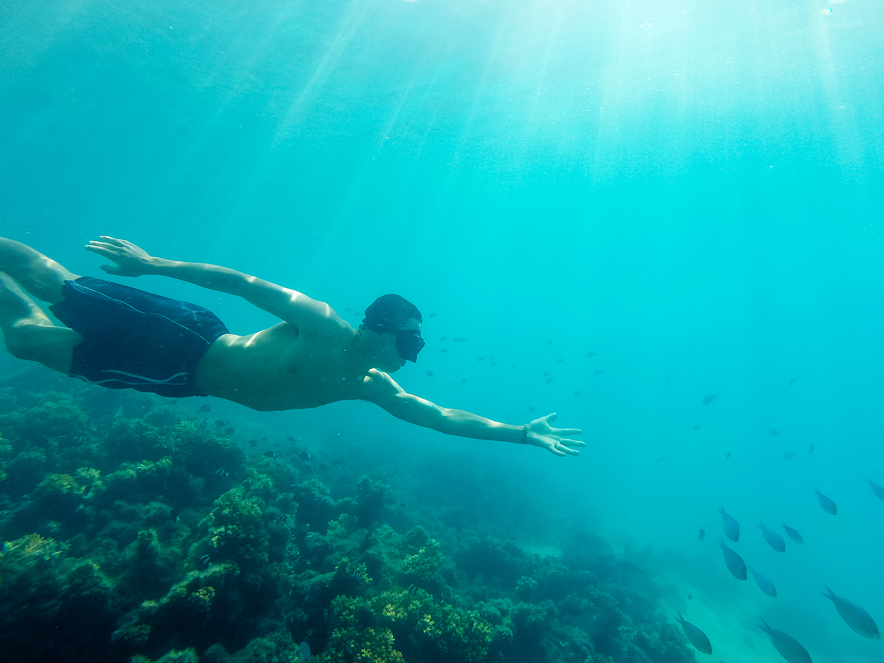 A snorkeler glides over a coral reef with fish scattered below