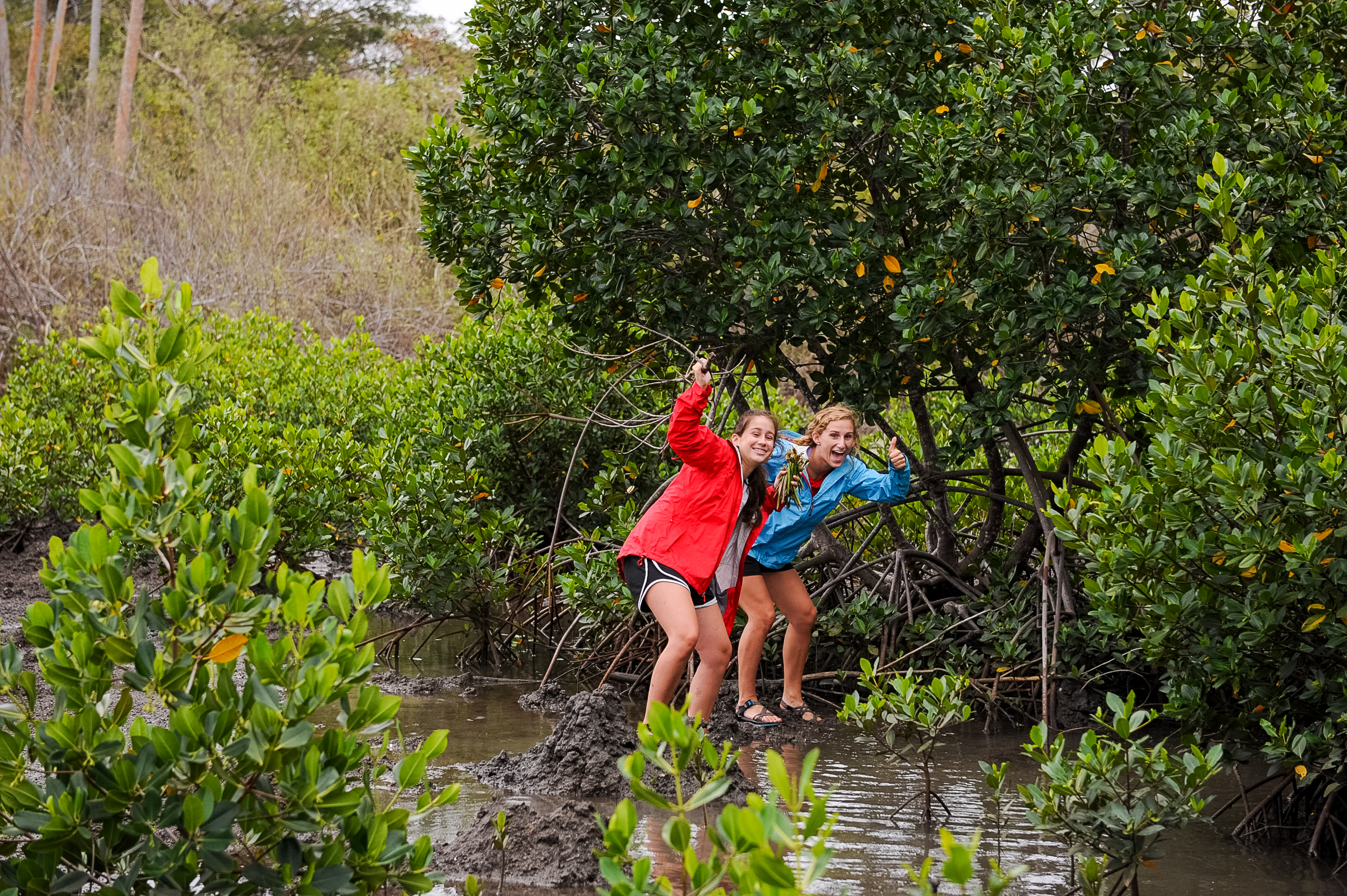 Students pose among mangroves growing in muddy tidal water