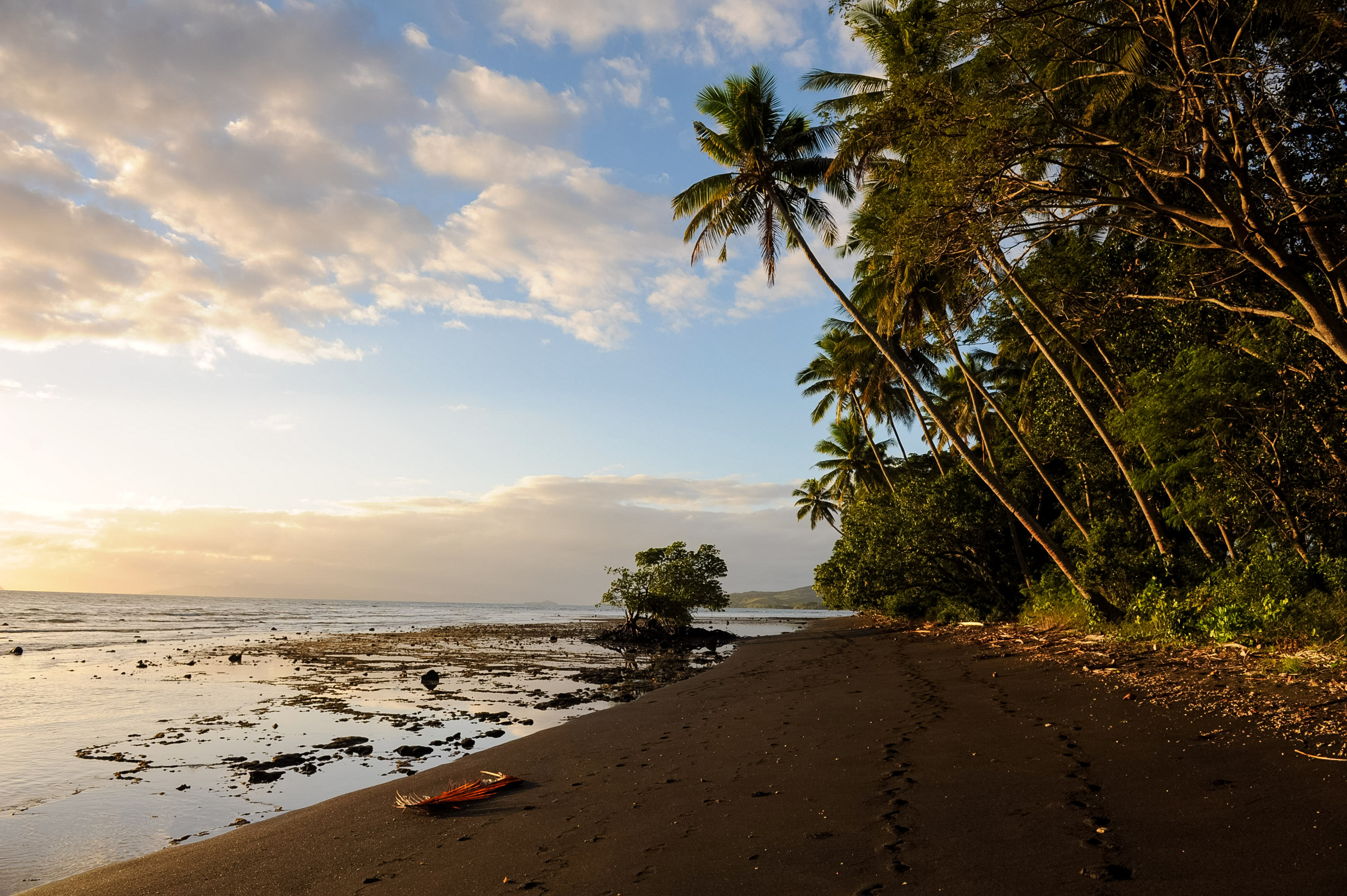 Palm trees line a quiet beach at sunset in Fiji
