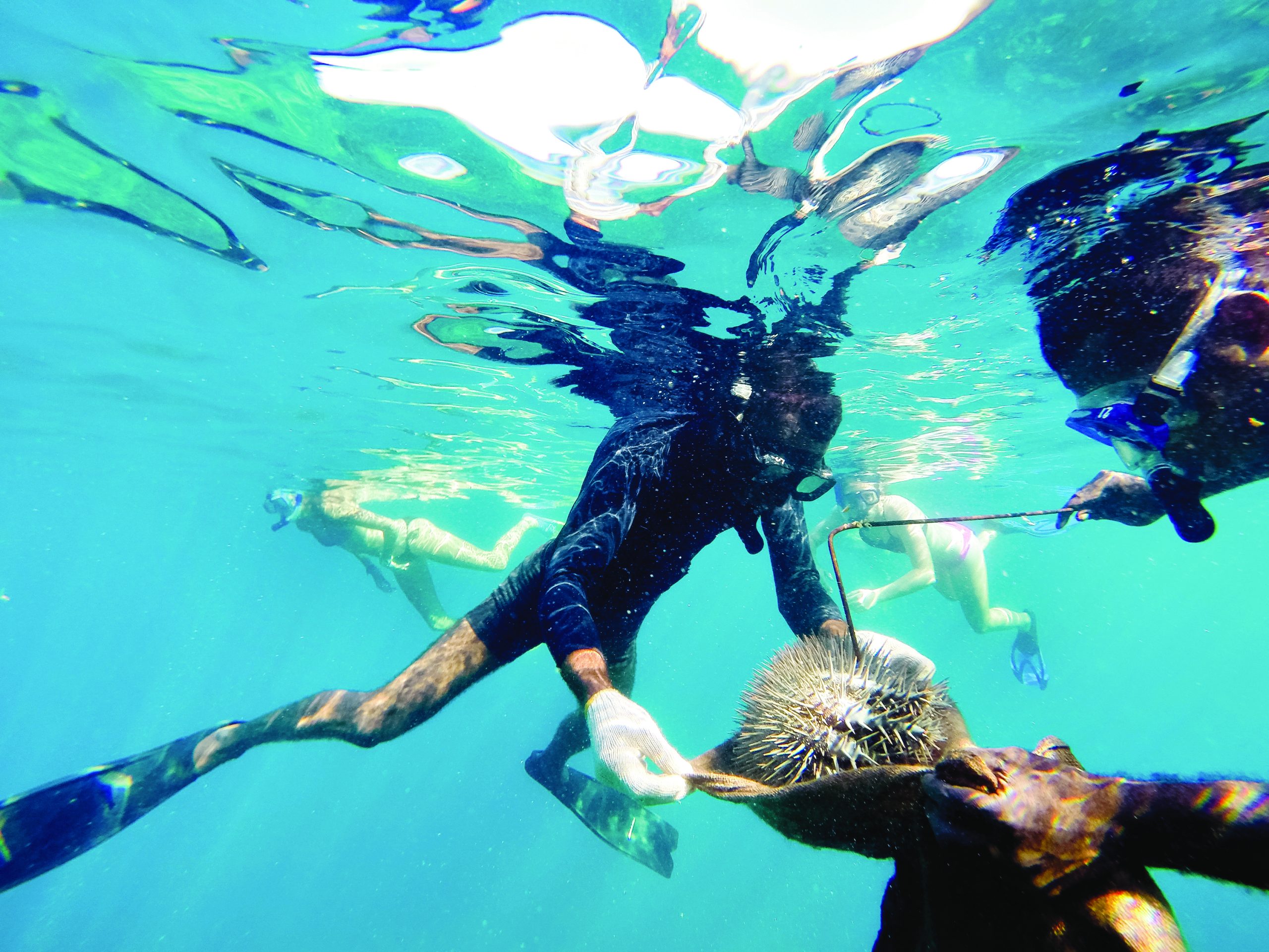 Students practicing ethical voluntourism through marine conservation, studying ocean wildlife and supporting reef preservation efforts.