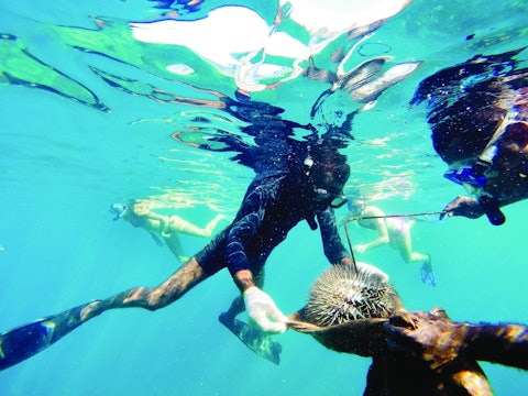 Students snorkeling during a marine conservation trip for teens in Fiji