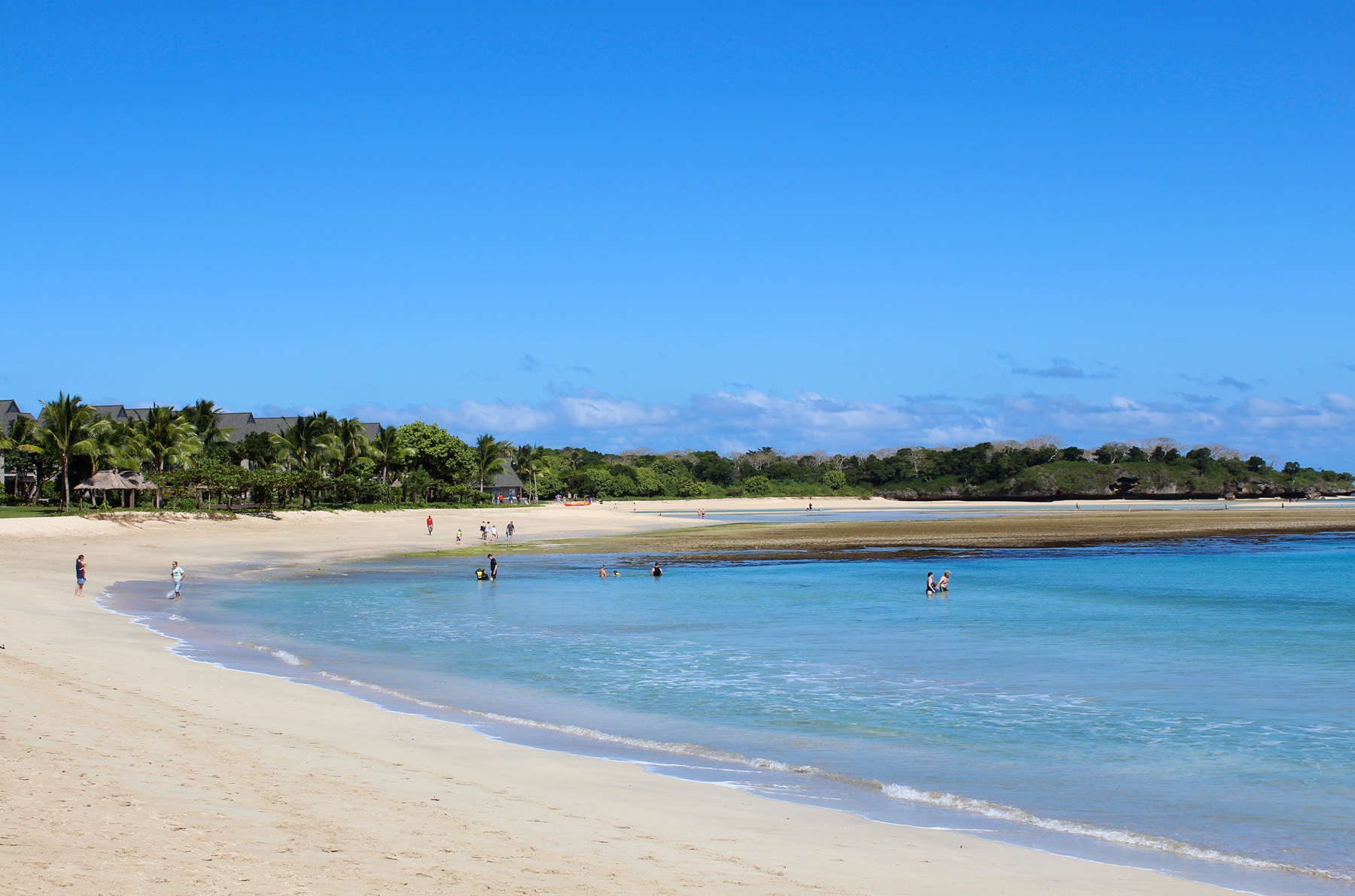 A wide curving beach with palm trees meets calm turquoise water under a clear sky