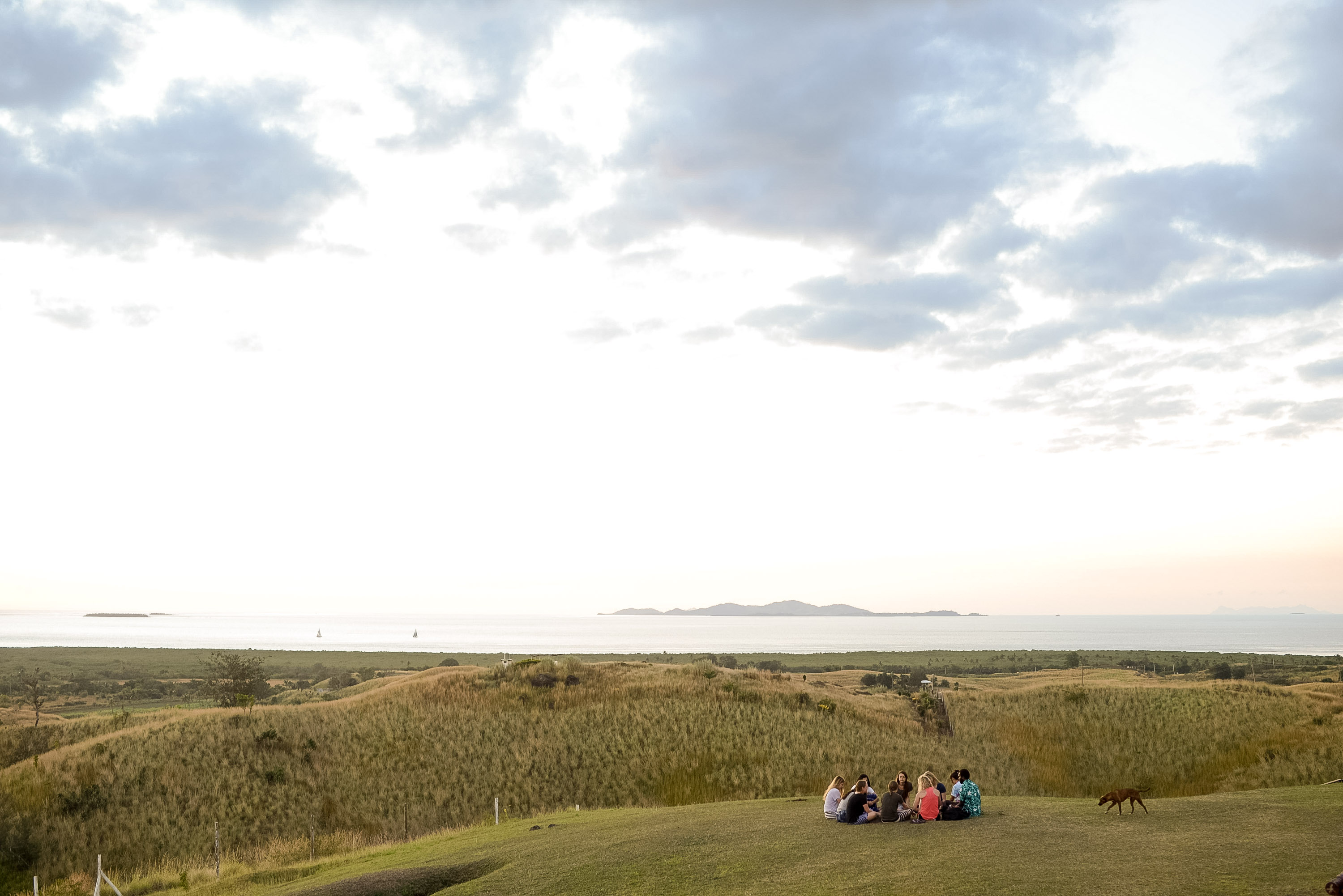 Students sit together on grassy dunes overlooking the ocean at dusk