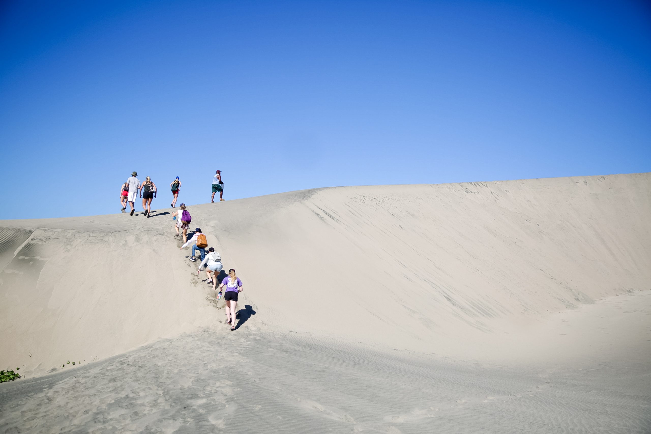 Students climb a steep sand dune against a clear blue sky