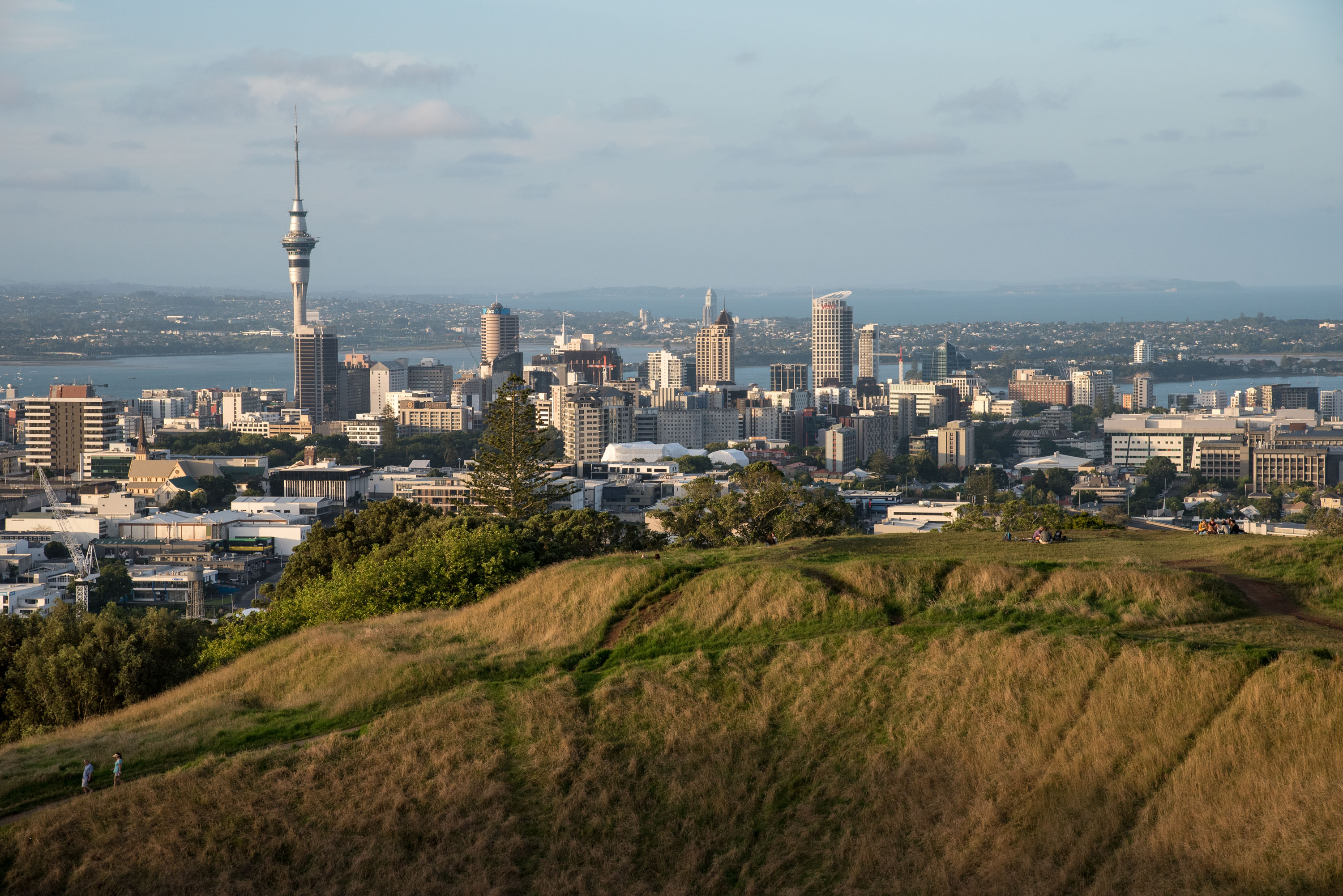 Grassy hillside overlooks a city skyline with a tower and harbor in the distance