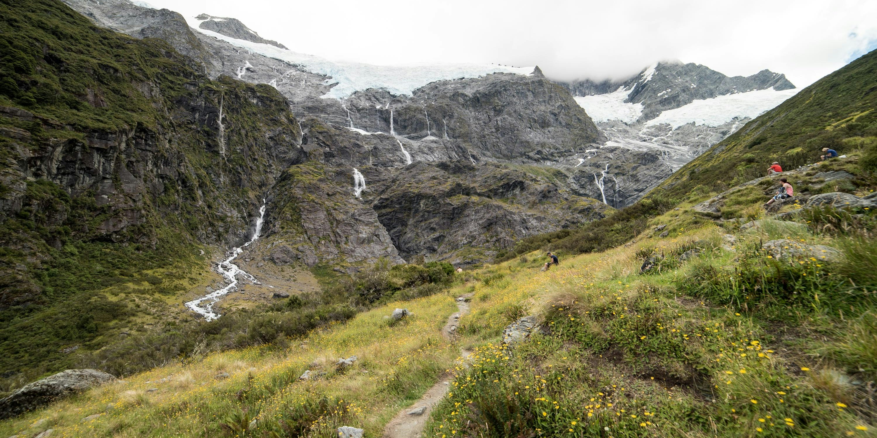 New Zealand: South Island Glacier Adventure