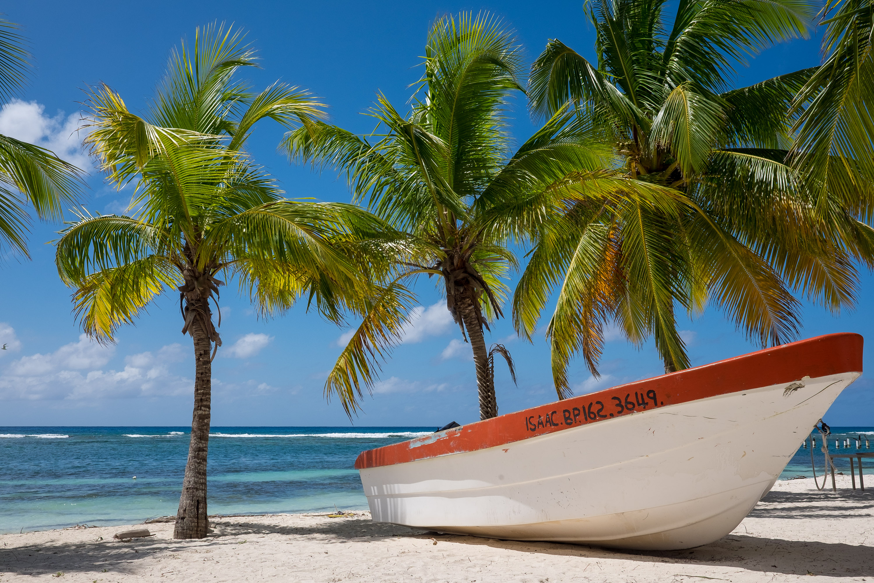 A fishing boat rests on white sand beneath palm trees along a turquoise coastline