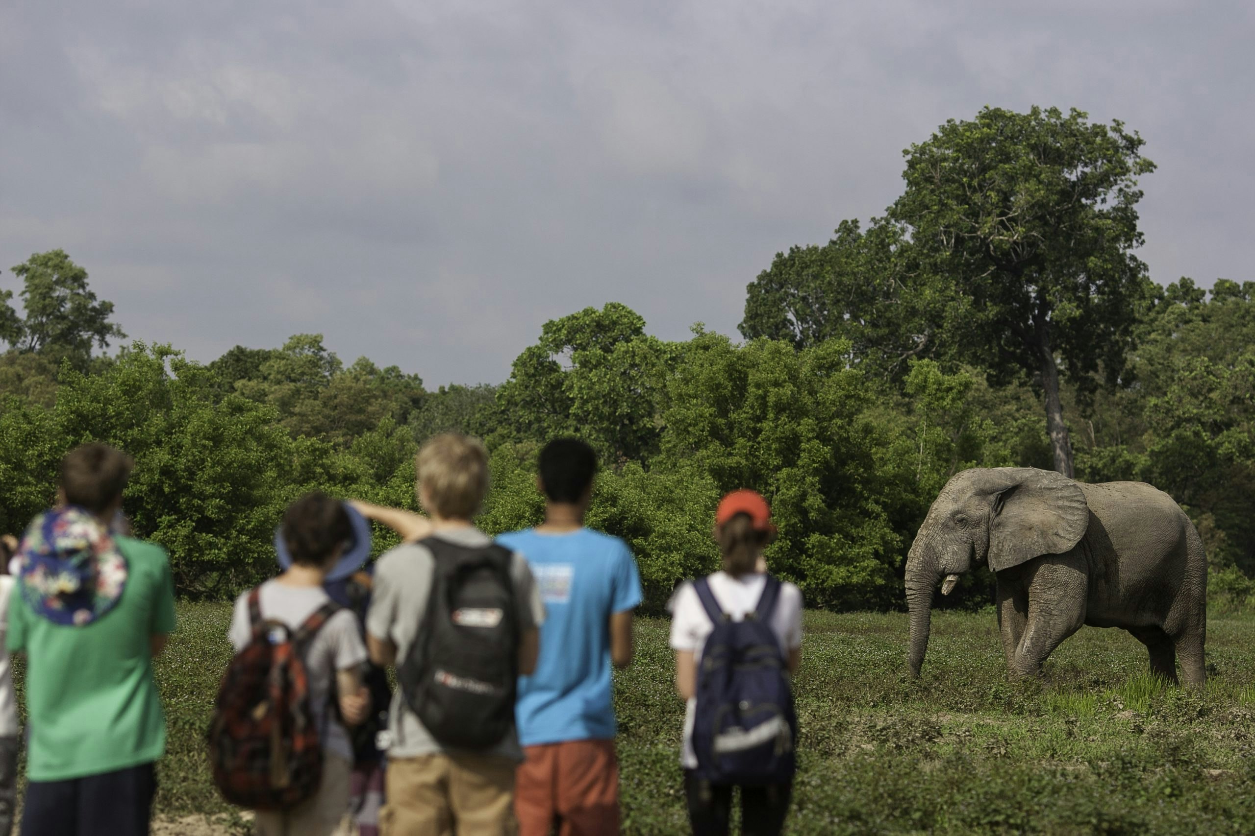 Volunteer Abroad in Africa: Wildlife, Education & Community Programs