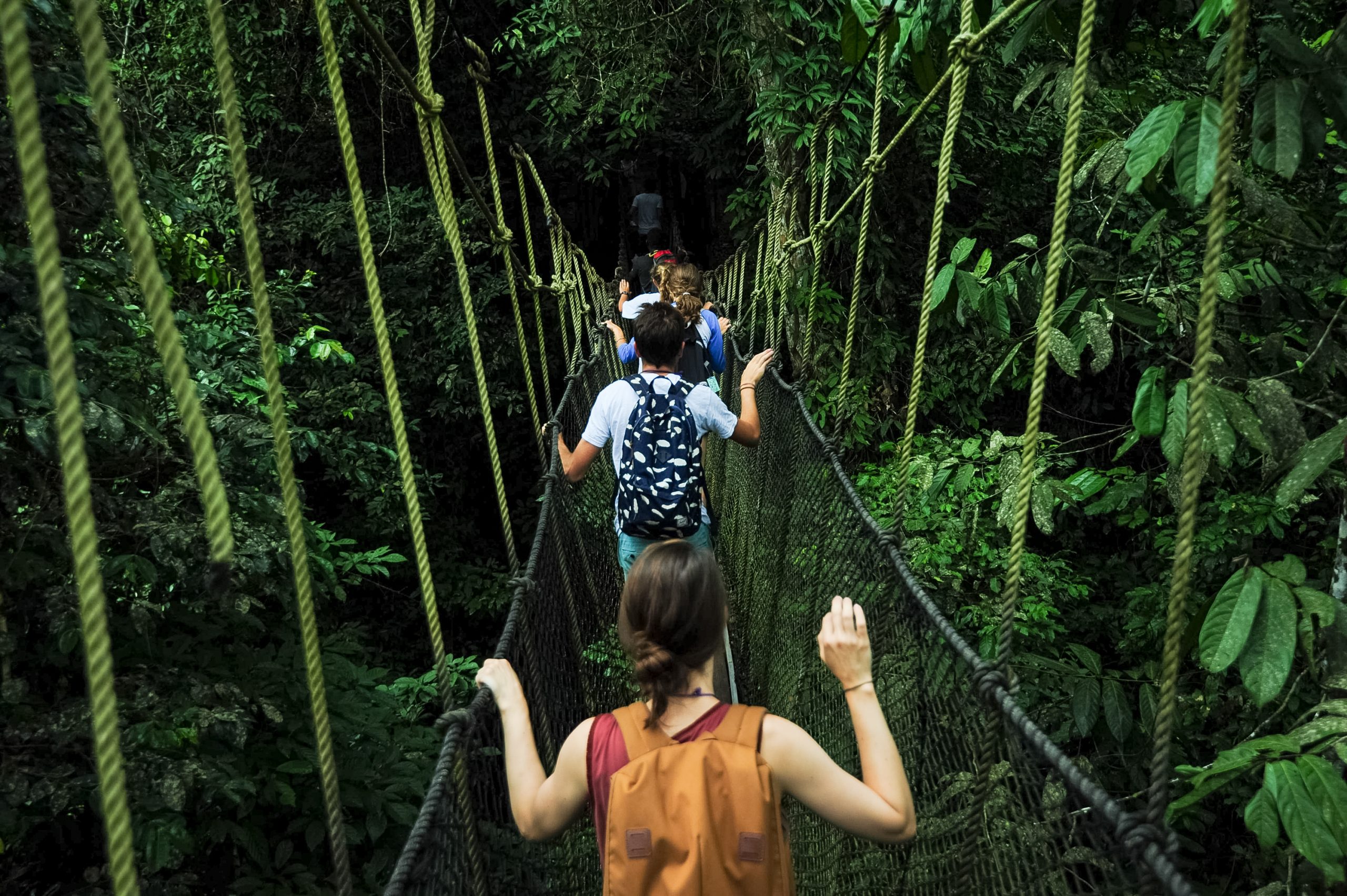 Students cross a rope suspension bridge strung high through a dense rainforest canopy.