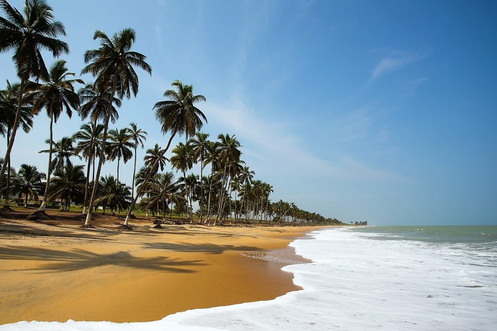 A stunning beach in Ghana features palm trees and the ocean.