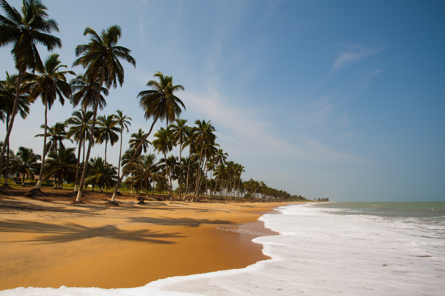 A school trip pauses at a golden sand beach lined with palm trees as waves roll in along the Ghanaian coast