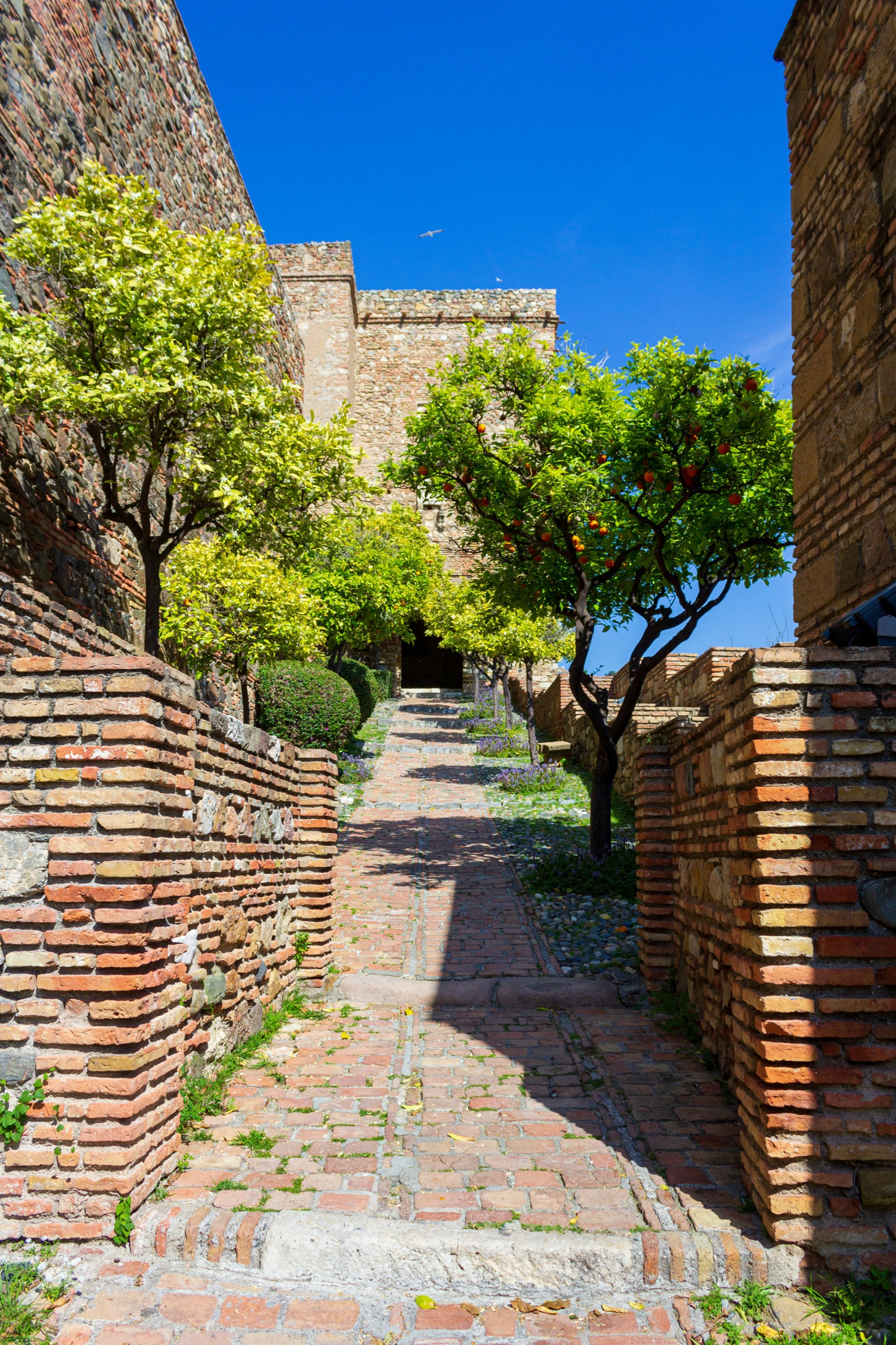 A brick-paved path climbs between low brick walls and orange trees toward a fortress gateway under a deep blue sky.