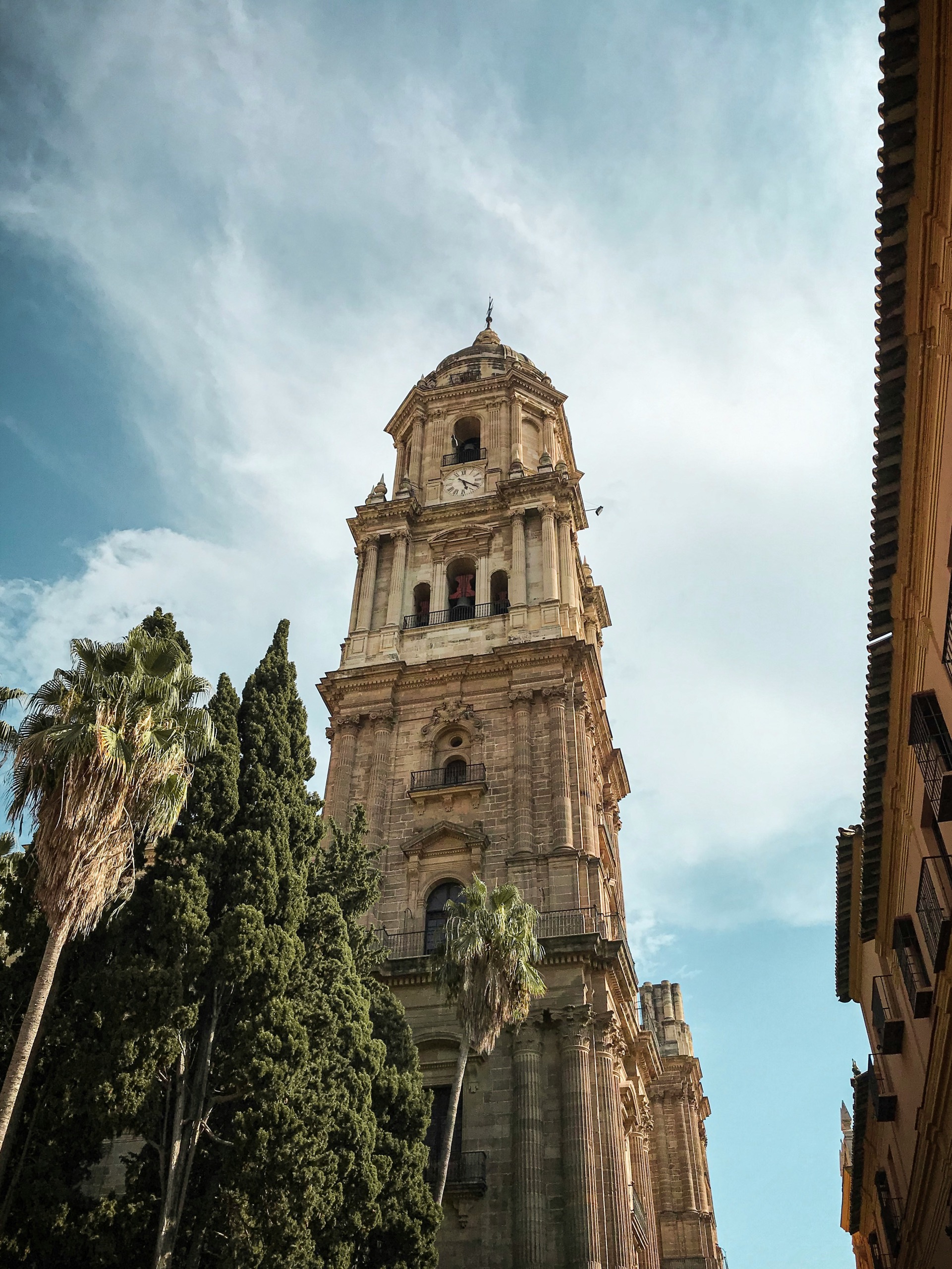 A stone cathedral bell tower with a clock face rises above palm trees and cypresses against a pale blue sky.