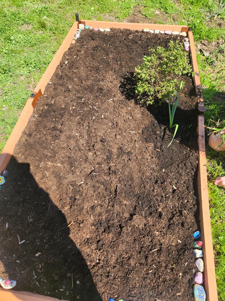 Giovanna Leiva - Six For The Planet - Image 1