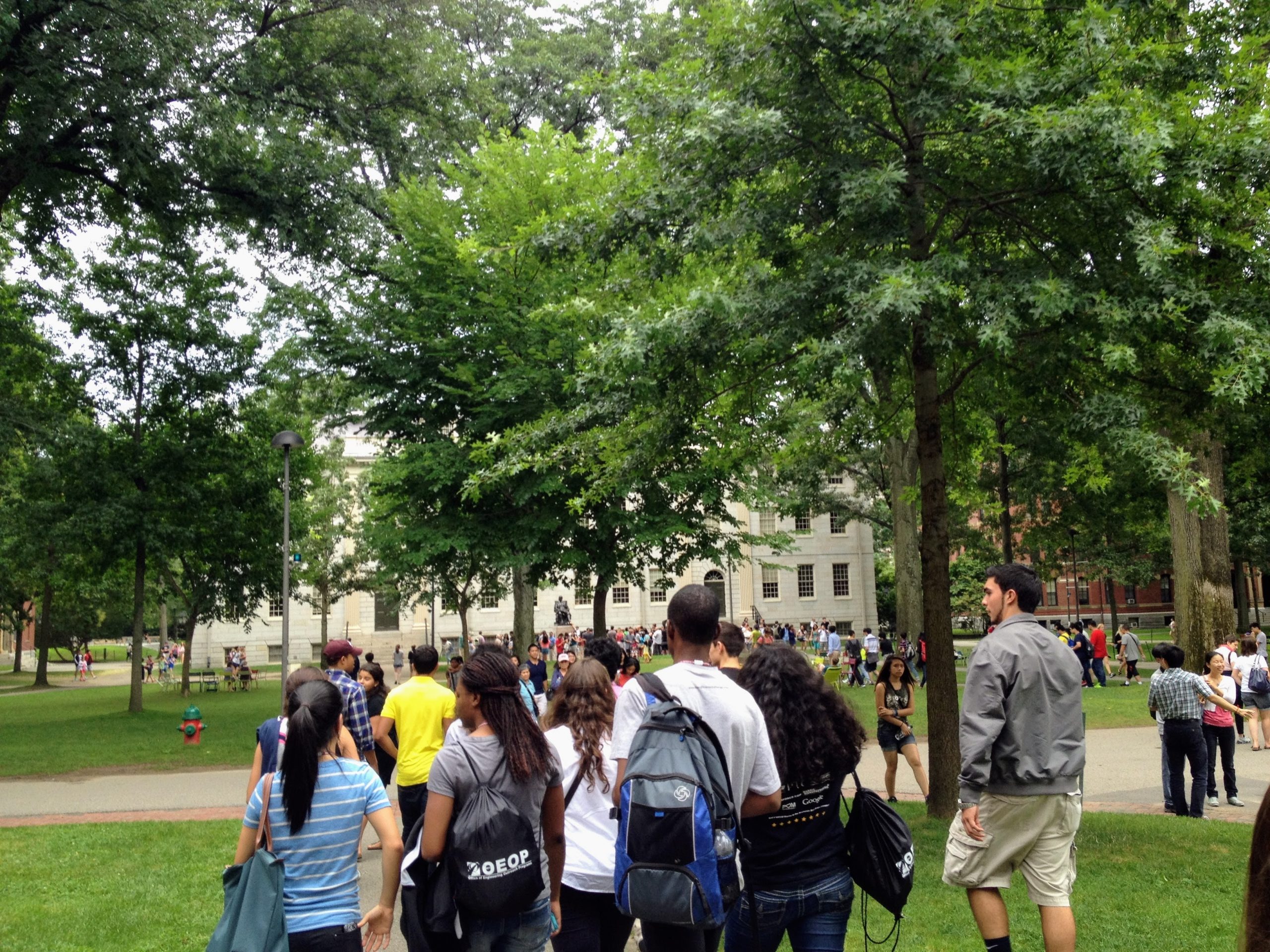 Students walking through Harvard Square on a tree-lined pathway.