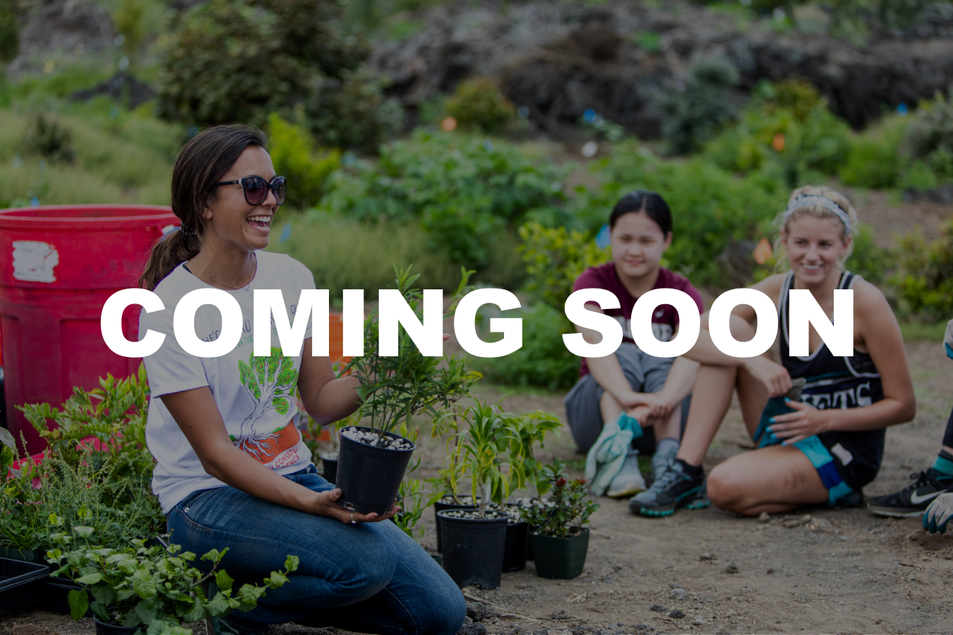Hawaii_Spring_Break_Cover_Photo_COMING SOON Card Photo