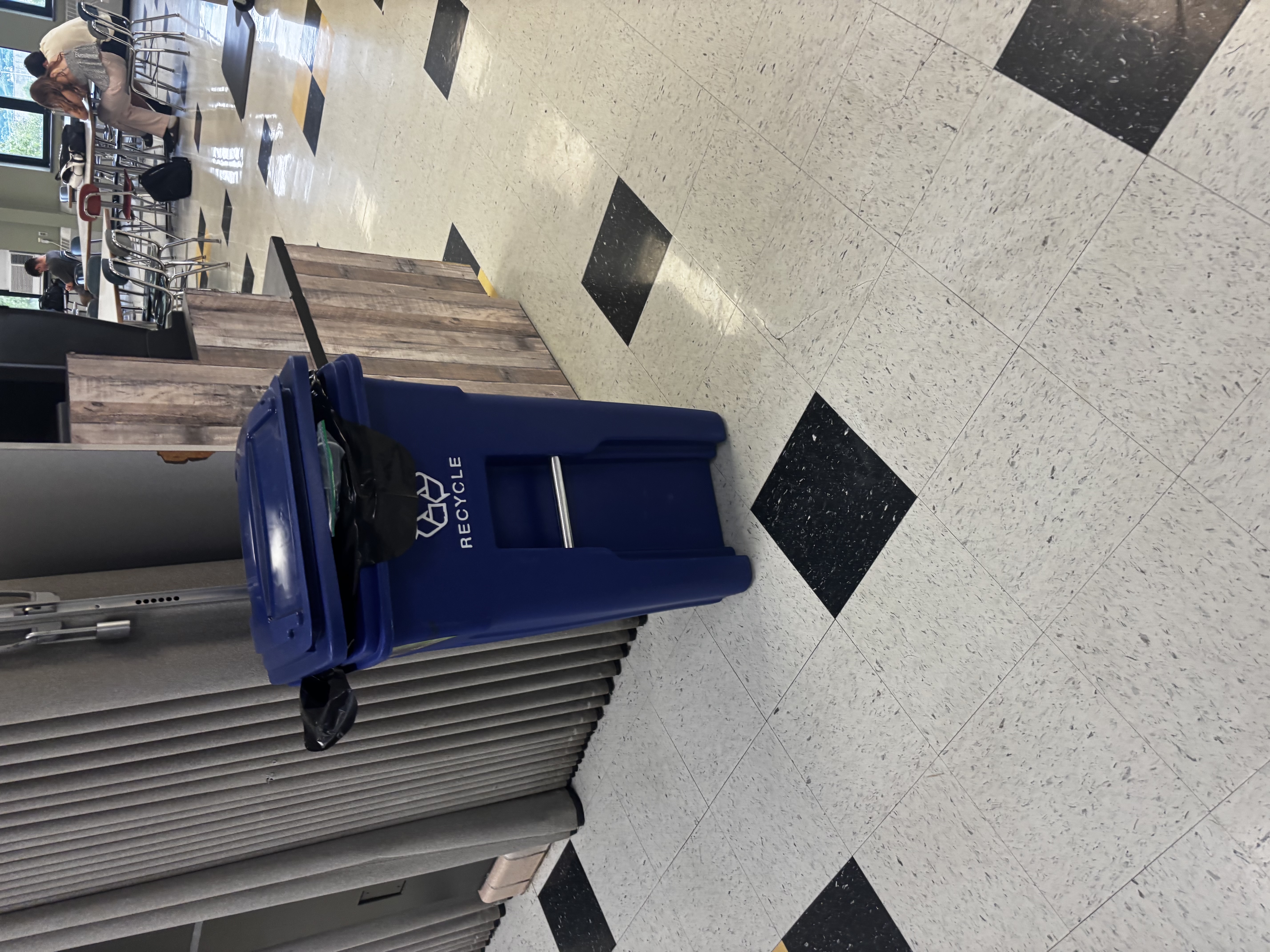 Hugo Castellini - From School Bins To Highways: Recycling To Combat Landfills - Image 1