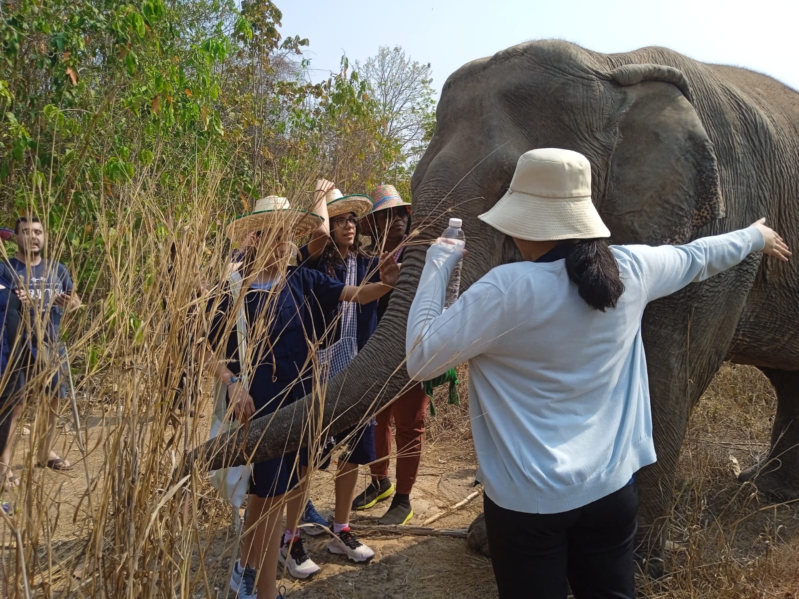 Students gathered around elephant during Thailand service project
