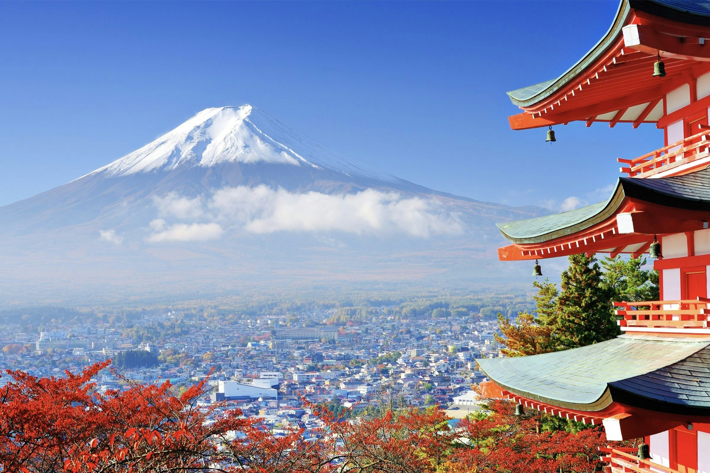 Japan: Tokyo Fusion (Middle School)