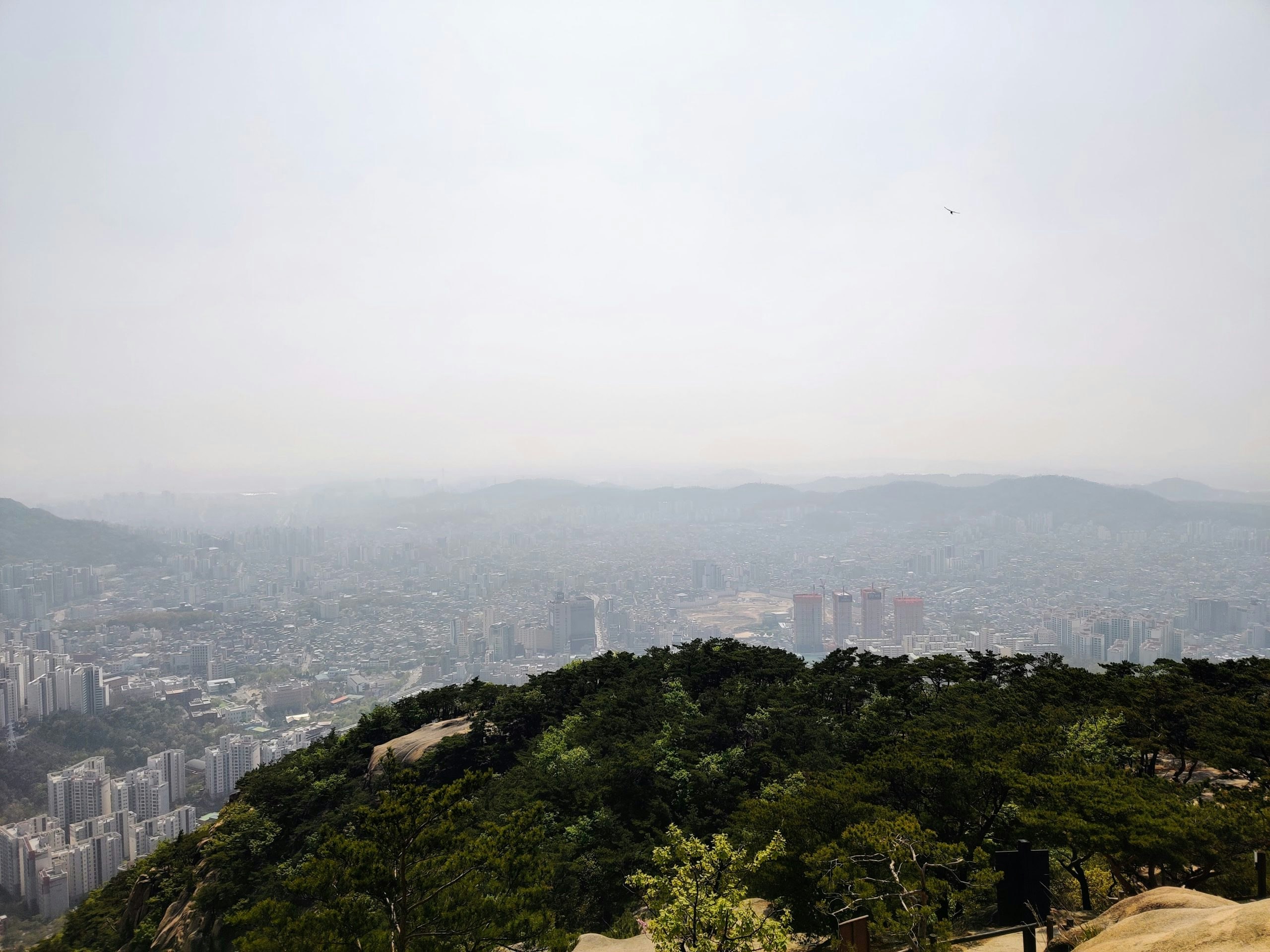Solutions From Seoul: Jaeyong Sung's Climate Leaders Fellowship Project