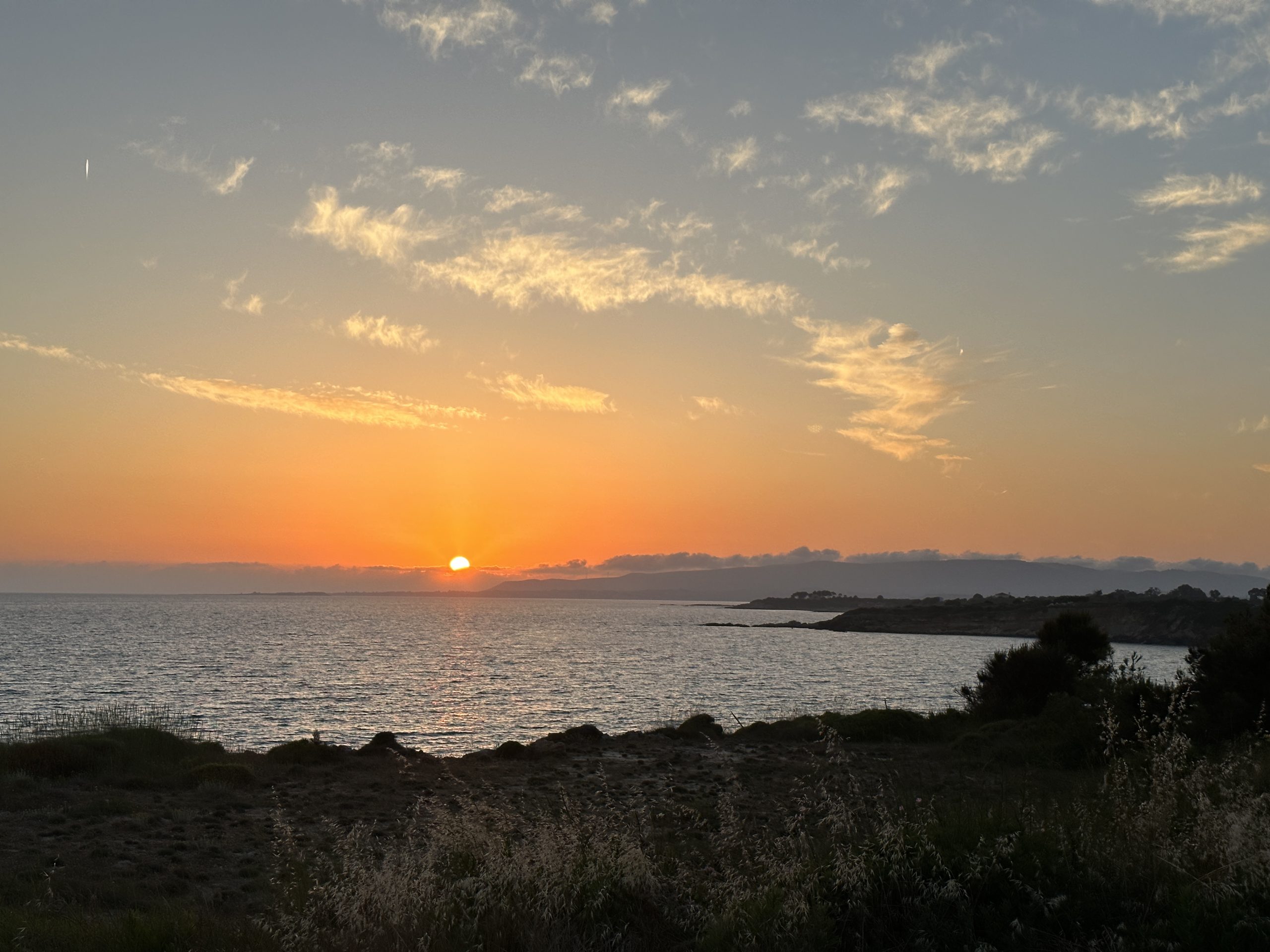 Students watch the sun set over the sea along a grassy coastline