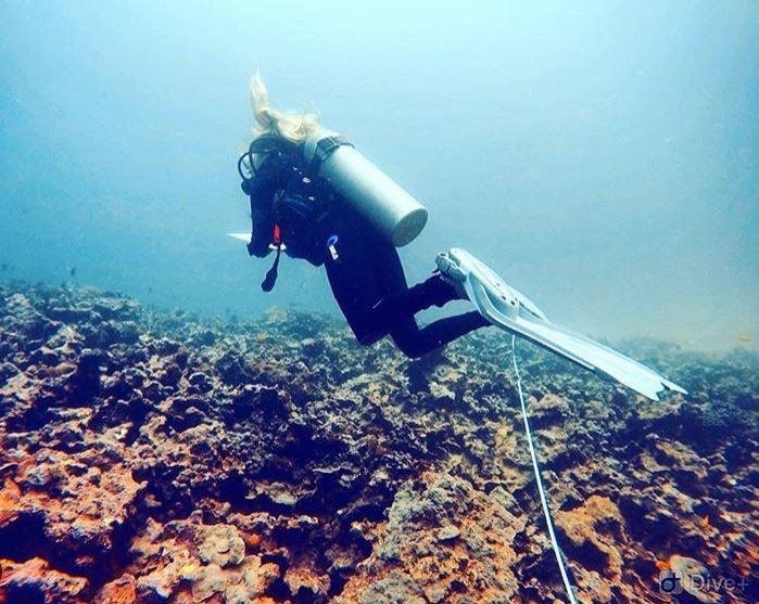 Rustic Pathways student diving in the ocean