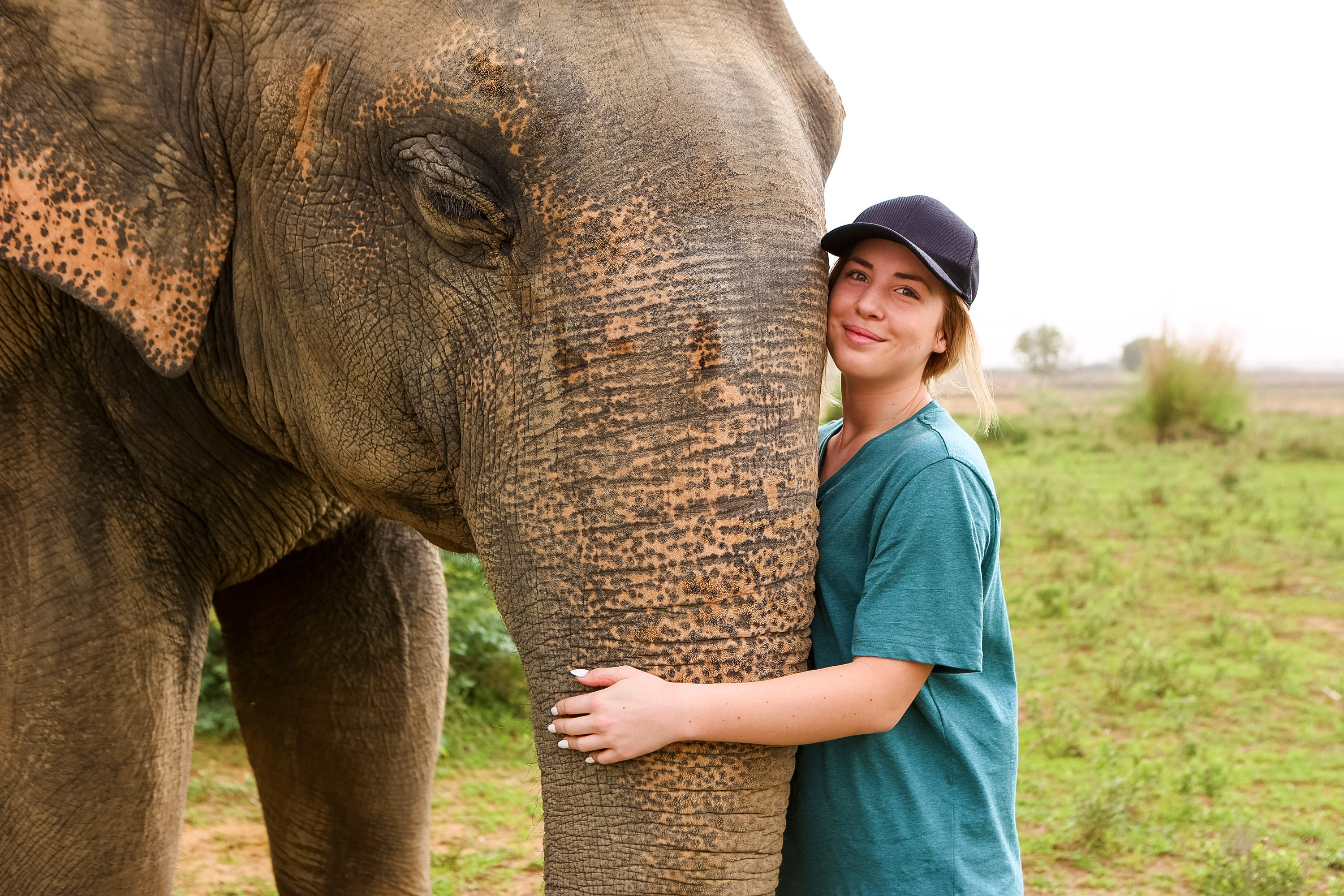 Students embrace an elephant's trunk in an open field